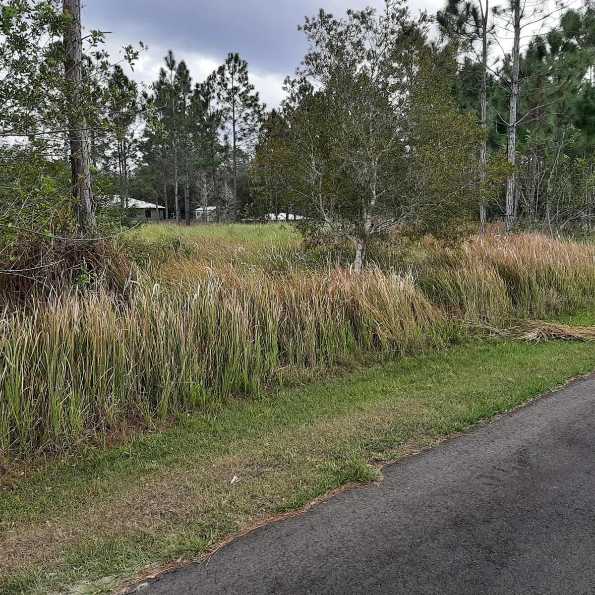 INDIAN LAKE ESTATES - Land
