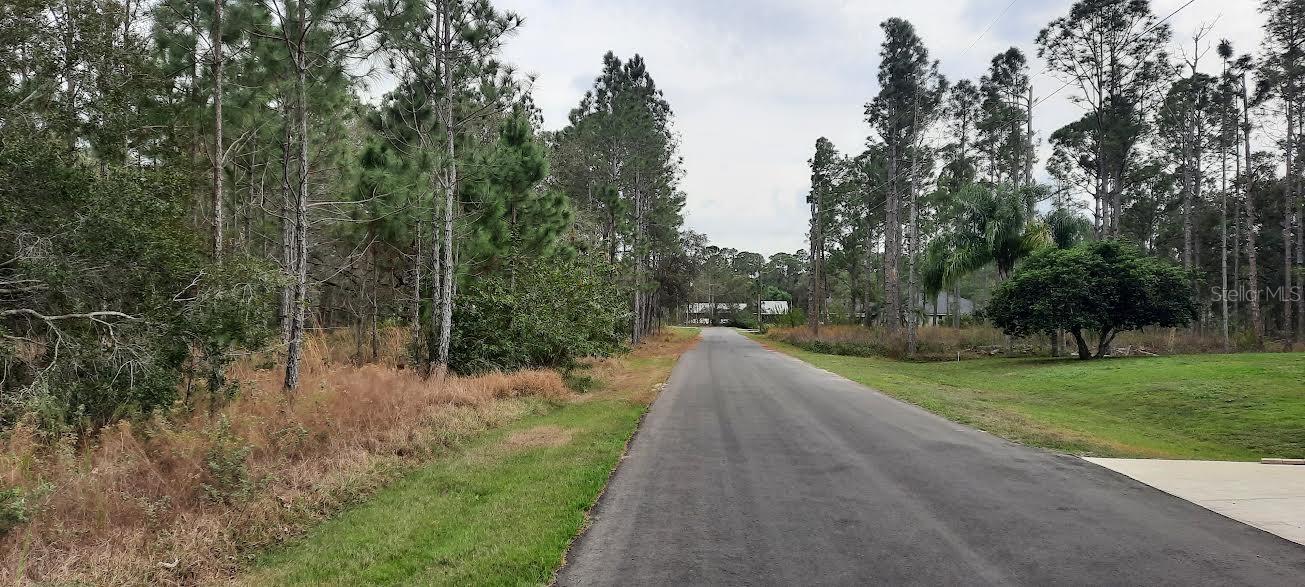 INDIAN LAKE ESTATES - Land
