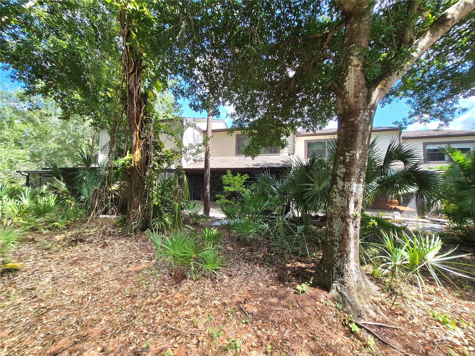 EAST LAKE WOODLANDS WOODS LANDING TWNHMS - Residential