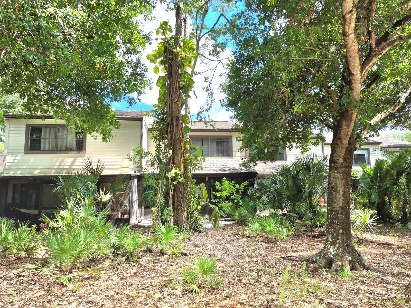 EAST LAKE WOODLANDS WOODS LANDING TWNHMS - Residential