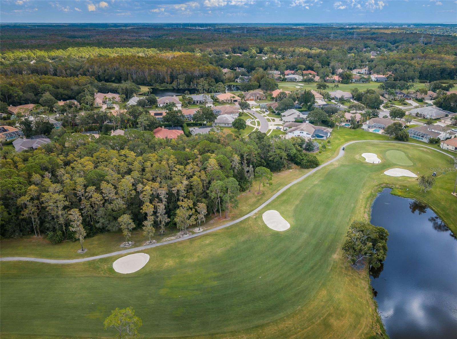 EAST LAKE WOODLANDS WOODS LANDING TWNHMS - Residential
