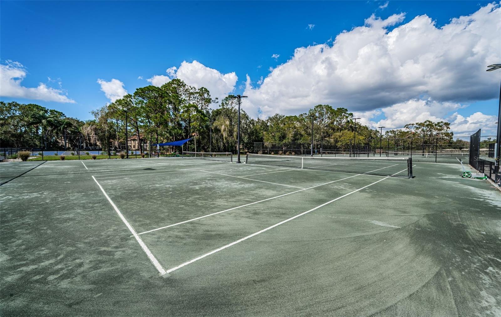 EAST LAKE WOODLANDS WOODS LANDING TWNHMS - Residential