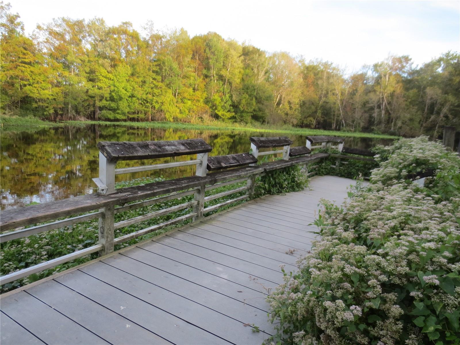 SILVER LAKES ACRES - Residential