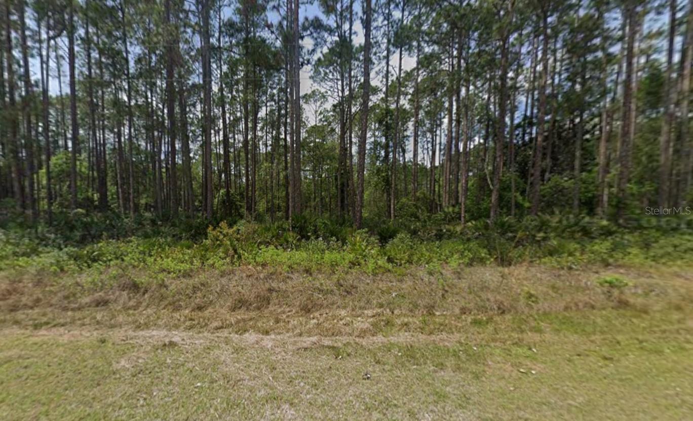 Discover the perfect opportunity to own a slice of Florida living in charming Georgetown! This property offers a peaceful setting surrounded by natural beauty, making it ideal for those seeking privacy, relaxation, or a weekend retreat. Located just minutes from Lake George and the St. Johns River, this property provides easy access to boating, fishing, and outdoor recreation. Whether you're looking to build your dream home, invest, or enjoy a quiet escape, this location delivers endless potential. Conveniently situated with access to nearby towns while still maintaining a serene, rural feel. Don’t miss your chance to own property in this growing area of Georgetown!
Buyer to perform their own due diligence regarding zoning, utilities, and land use.