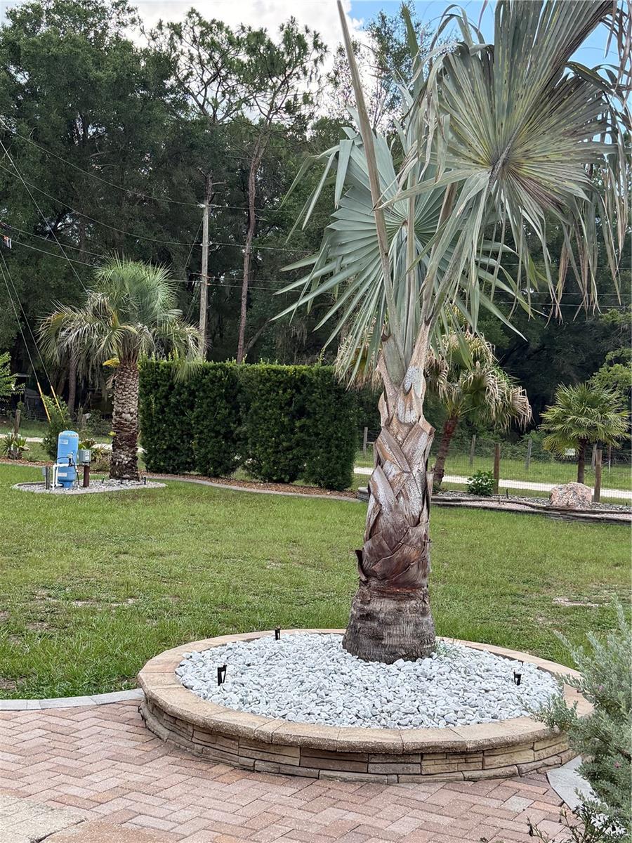 SILVER SPGS ACRES - Residential