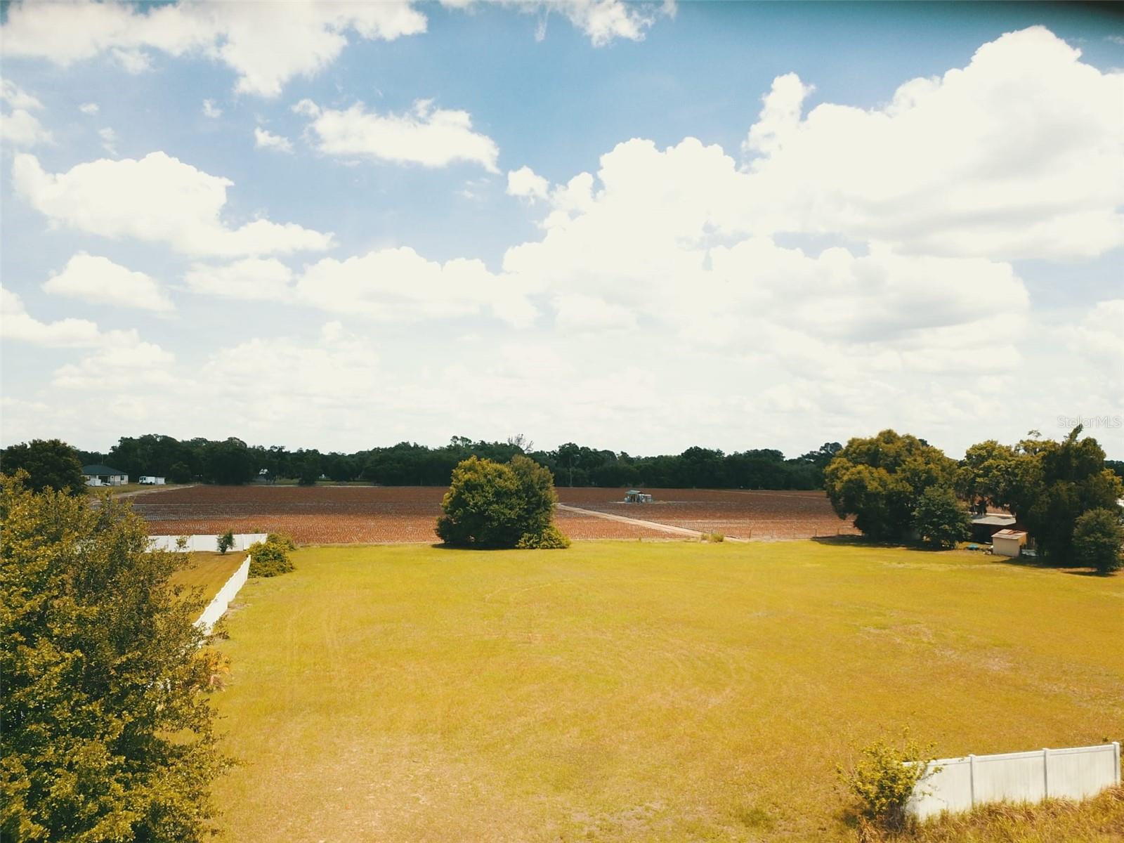 Build your dream home on this 1.48-acre cleared and level parcel, perfectly suited for a custom estate, private retreat, or investment property. Located on a quiet private road; this lot offers: peace, privacy, and true country living with No HOA and No CDD.
Enjoy the freedom to build the way you want!

Just minutes from I-4, you’ll have quick access to Tampa, Brandon, Plant City, Lakeland, and Orlando, while still enjoying a serene rural setting. The area is surrounded by beautiful homes valued between $400K–$1M, supporting strong long-term value.

Nearby attractions include: Dinosaur World, Keel & Curley Winery, Edward Medard Park, and the famous Plant City Strawberry Festival. Convenient to shopping, dining, hospitals, and historic downtown Plant City.

Nearby schools may include Bailey Elementary, Marshall Middle Magnet, and Strawberry Crest High (IB program).  
Additional details: Flood zone (buyer to verify), private road access, cleared and ready for development.