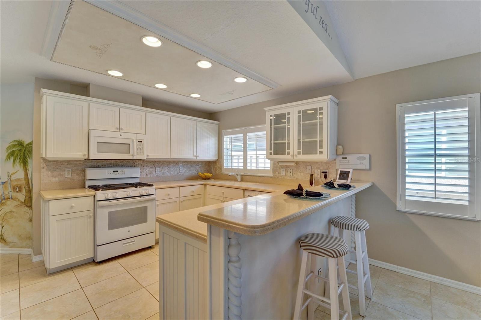 NORTH LAKE OF TARPON SPGS - PH 1 - Residential