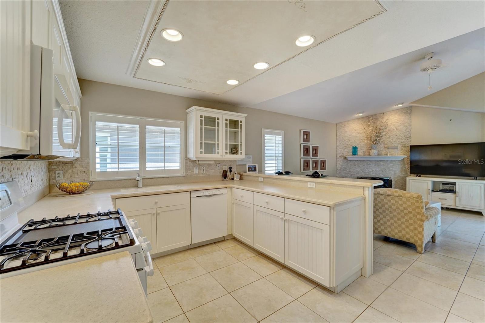 NORTH LAKE OF TARPON SPGS - PH 1 - Residential