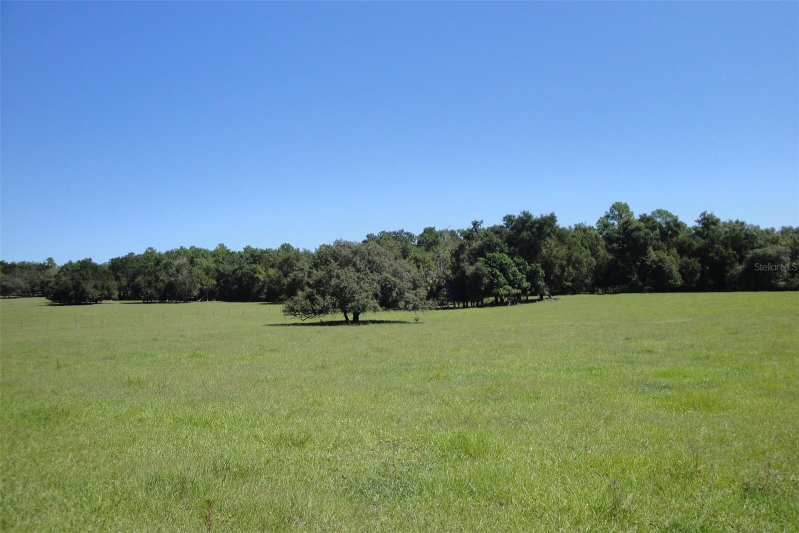 ATTENTION INVESTORS OWNER FINANCING! The property has paved road frontage on two sides Gray's Airport Road & Griffin view Drive. Scattered Granddaddy oaks and rolling pastures makes for TONS of potential!  Currently being used as a cattle farm. Close to Harbor Hills Country Club, The Villages and Lake Griffin for fishing and boating. This 158.83 acres has R-2 zoning and the land use is Rural Transition. The brick pool home on property is being sold as-is and we are not placing any value on the home although with some TLC it could be a nice home.