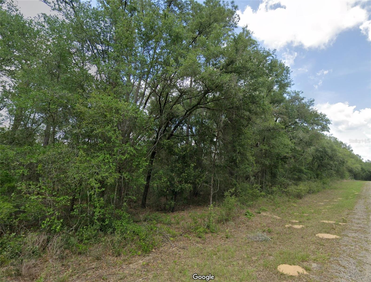 Nice building lot for single-family homes in the quickly growing subdivision of Citrus Springs!! ...what are you waiting for...Citrus Springs boasts the Withlacoochee Trail for biking and hiking, golf course, community center...near the gulf, near Ocala horse country... No time frame to build in...homes only subdivision, no mobile homes...no HOA!! Come build your dream home now!! NOTE: Seller owns and is also selling the adjoining lot...719 E Byrd Loop...$14,900 for each lot.