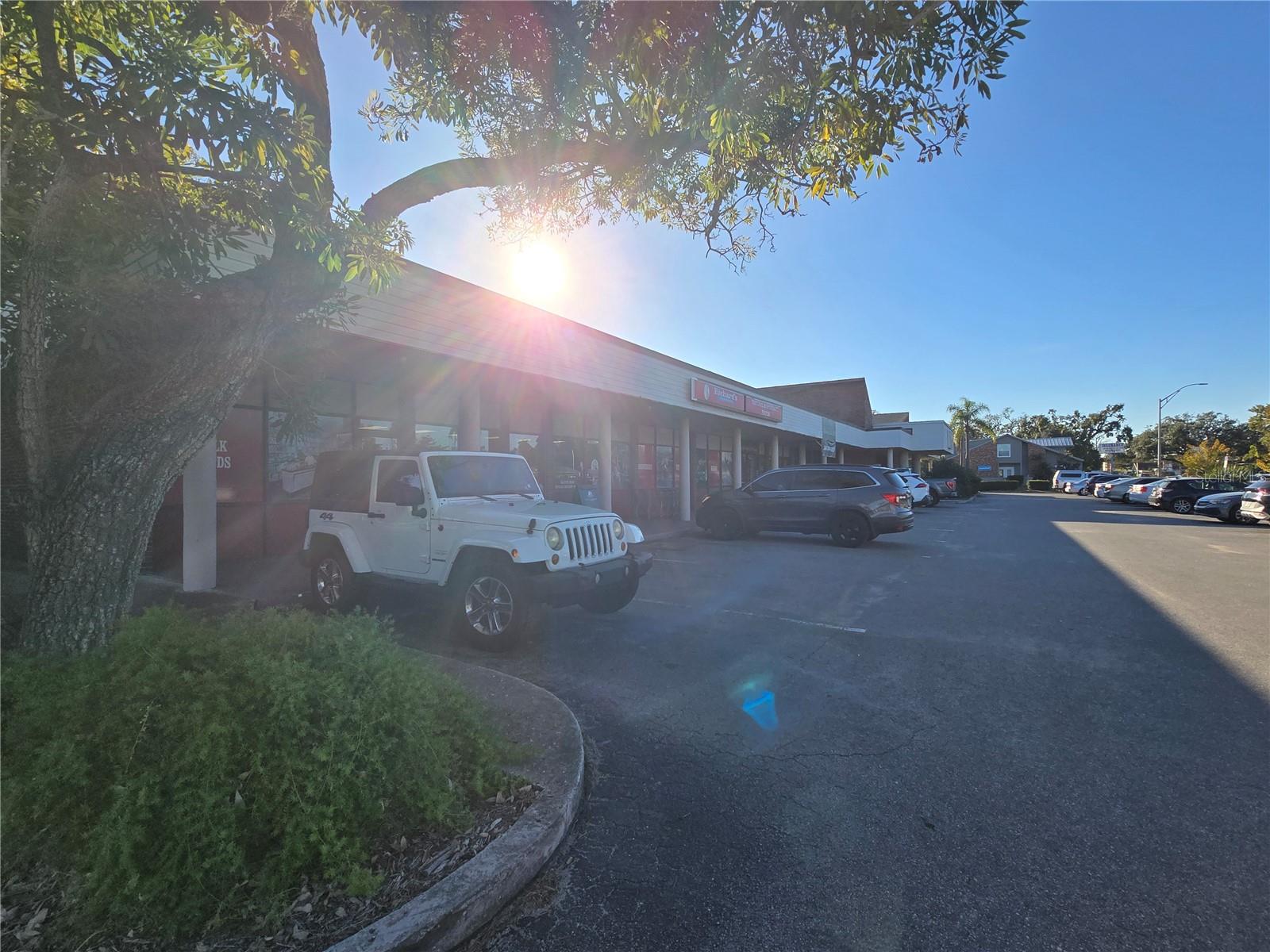 WESTFIELD - Commercial Sale