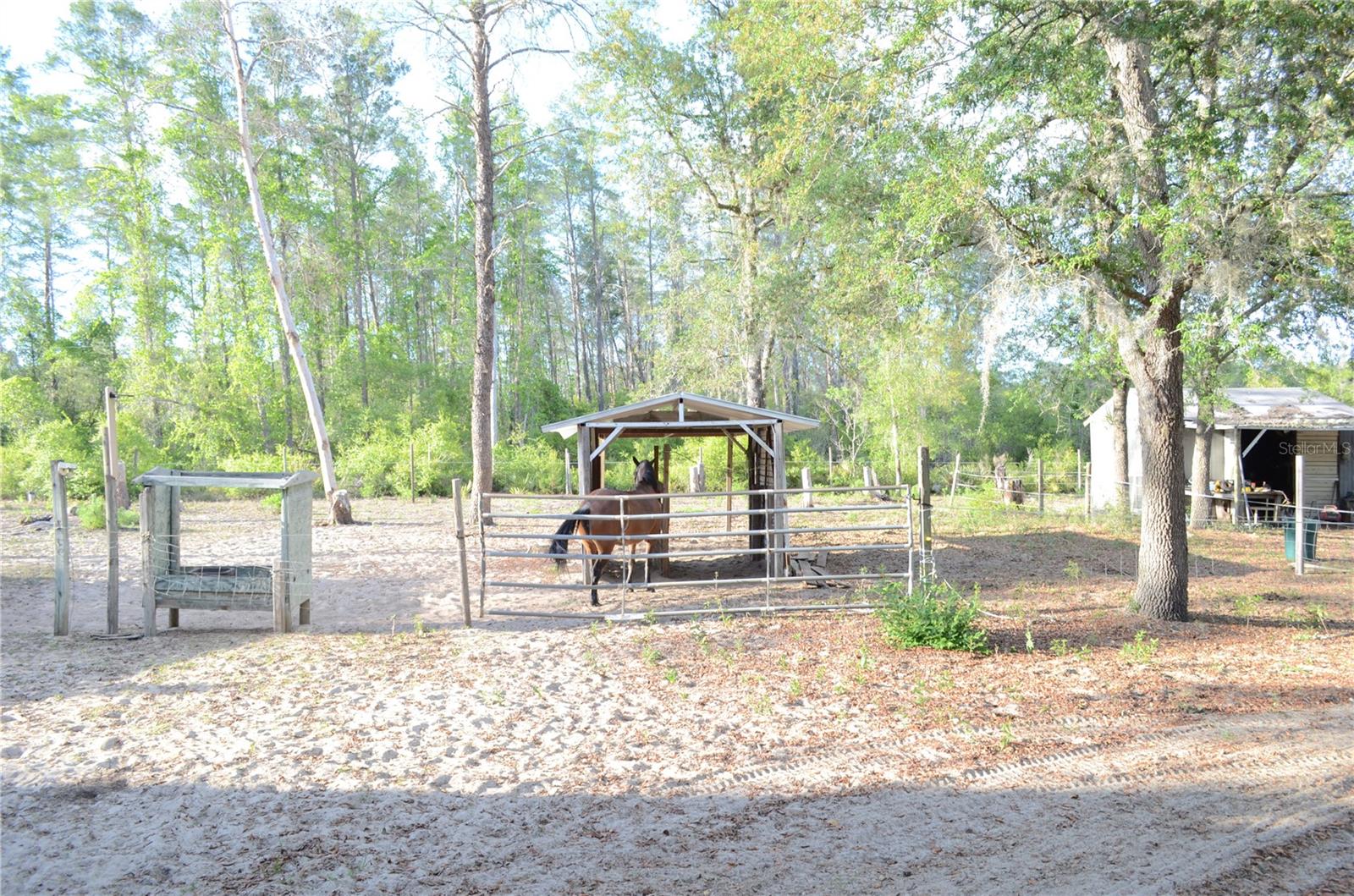 OCKLAWAHA RIVER - Residential
