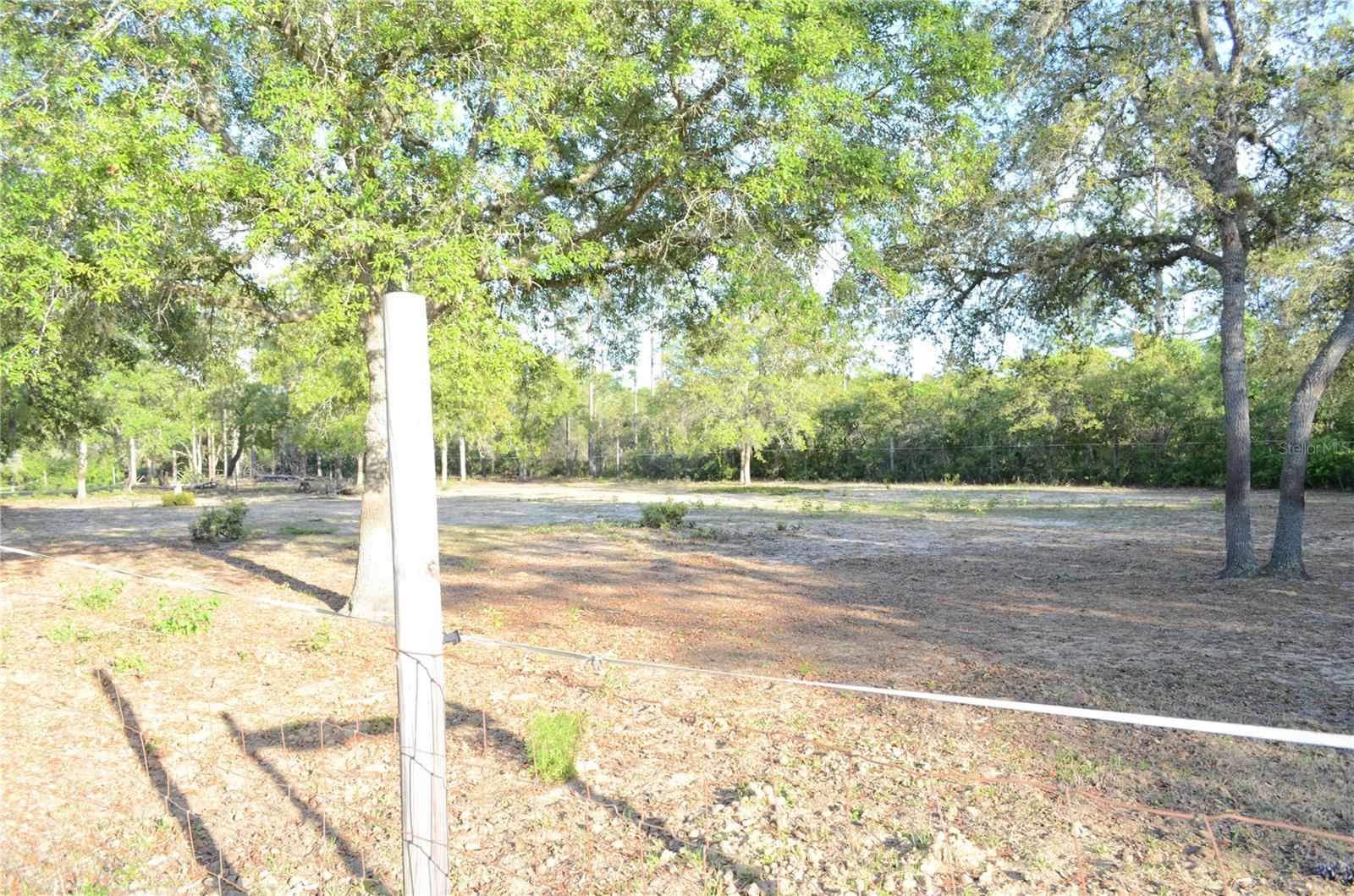 OCKLAWAHA RIVER - Residential