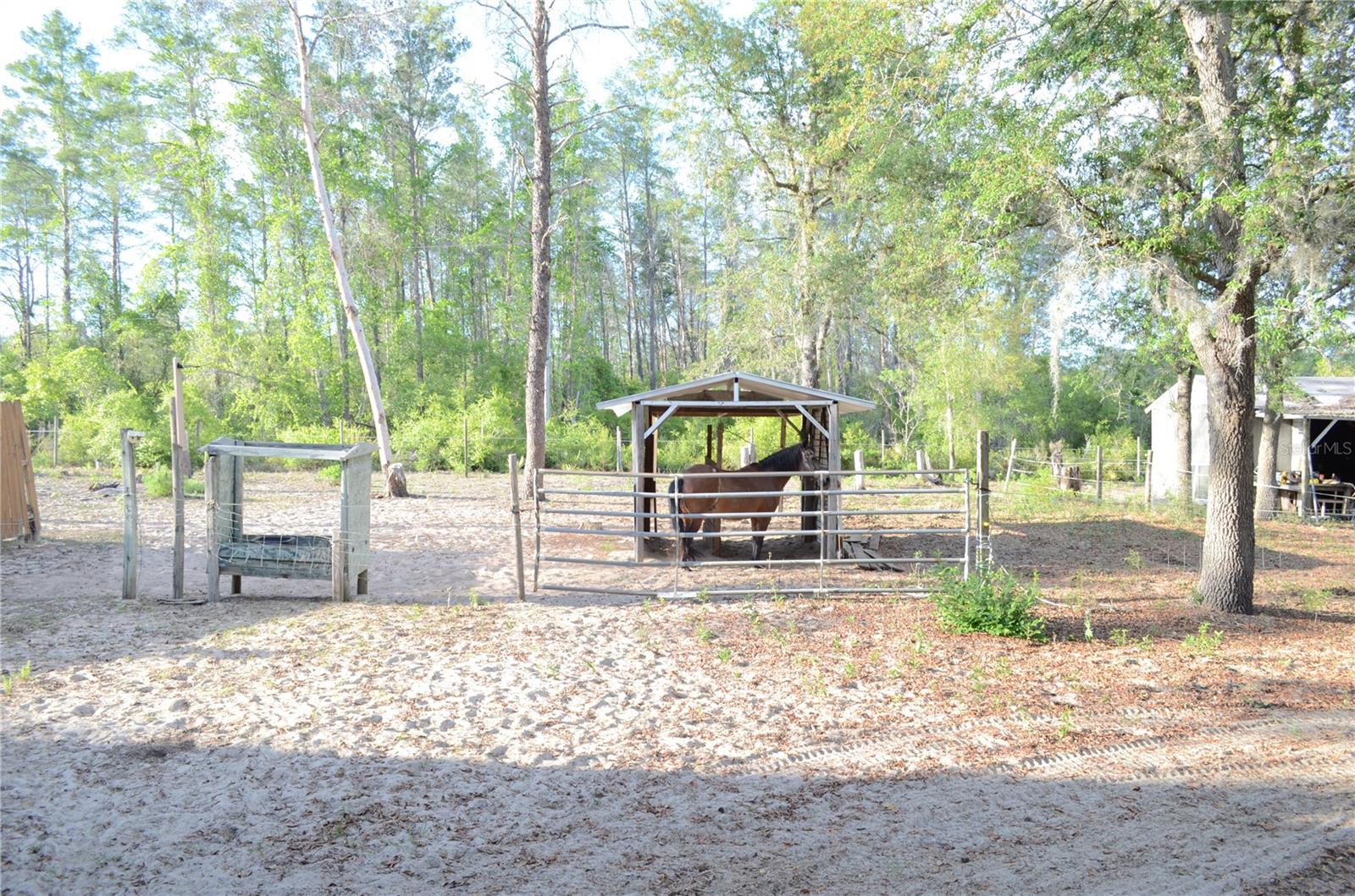 OCKLAWAHA RIVER - Residential