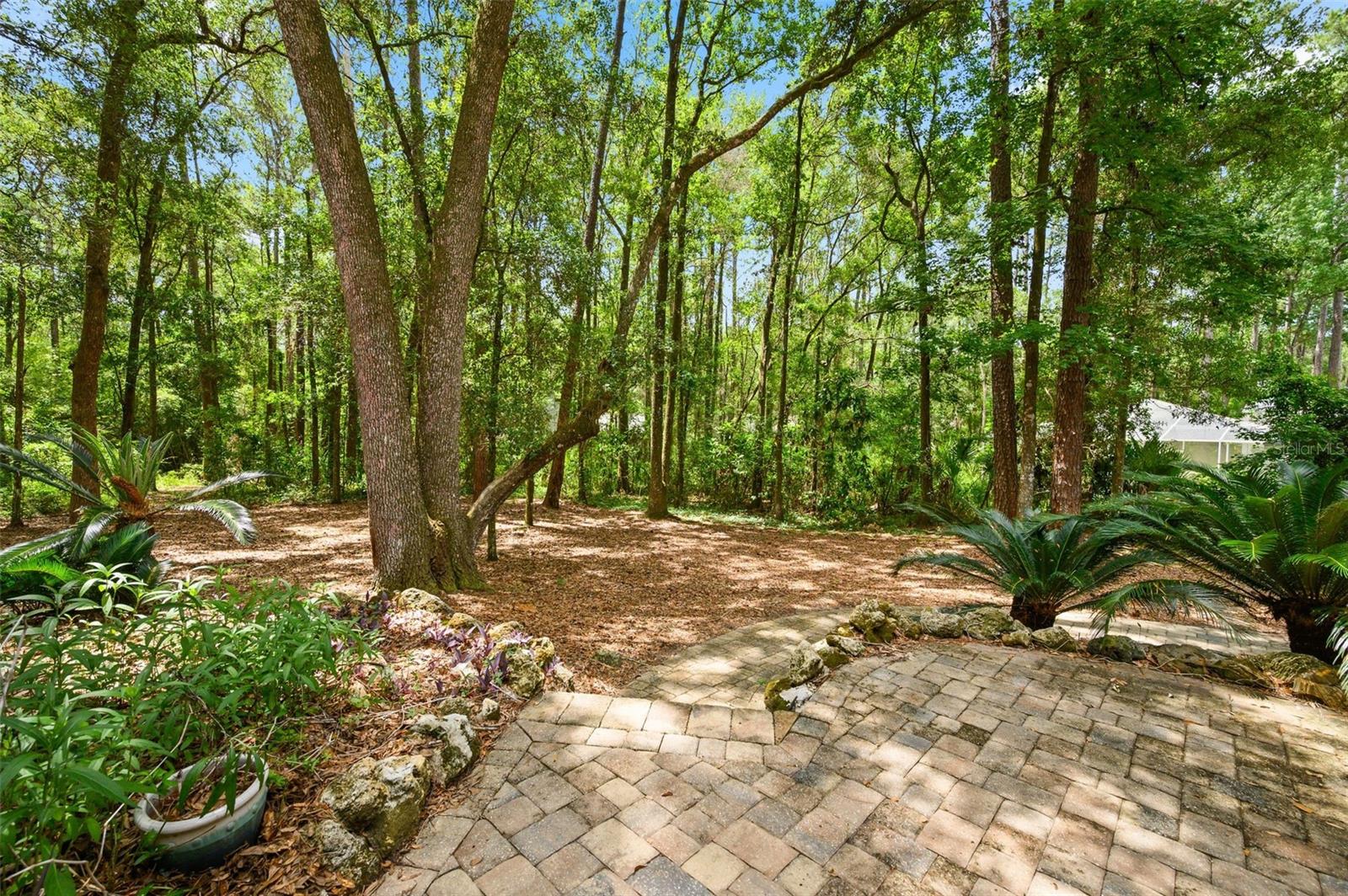 HAILE PLANTATION UNIT 9 PH I-A - Residential