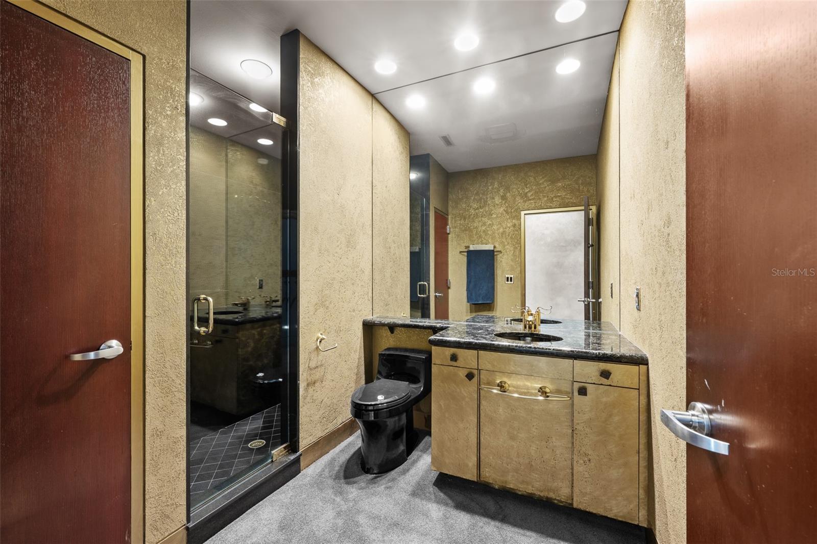 CHEVAL POLO & GOLF CL PHAS - Residential