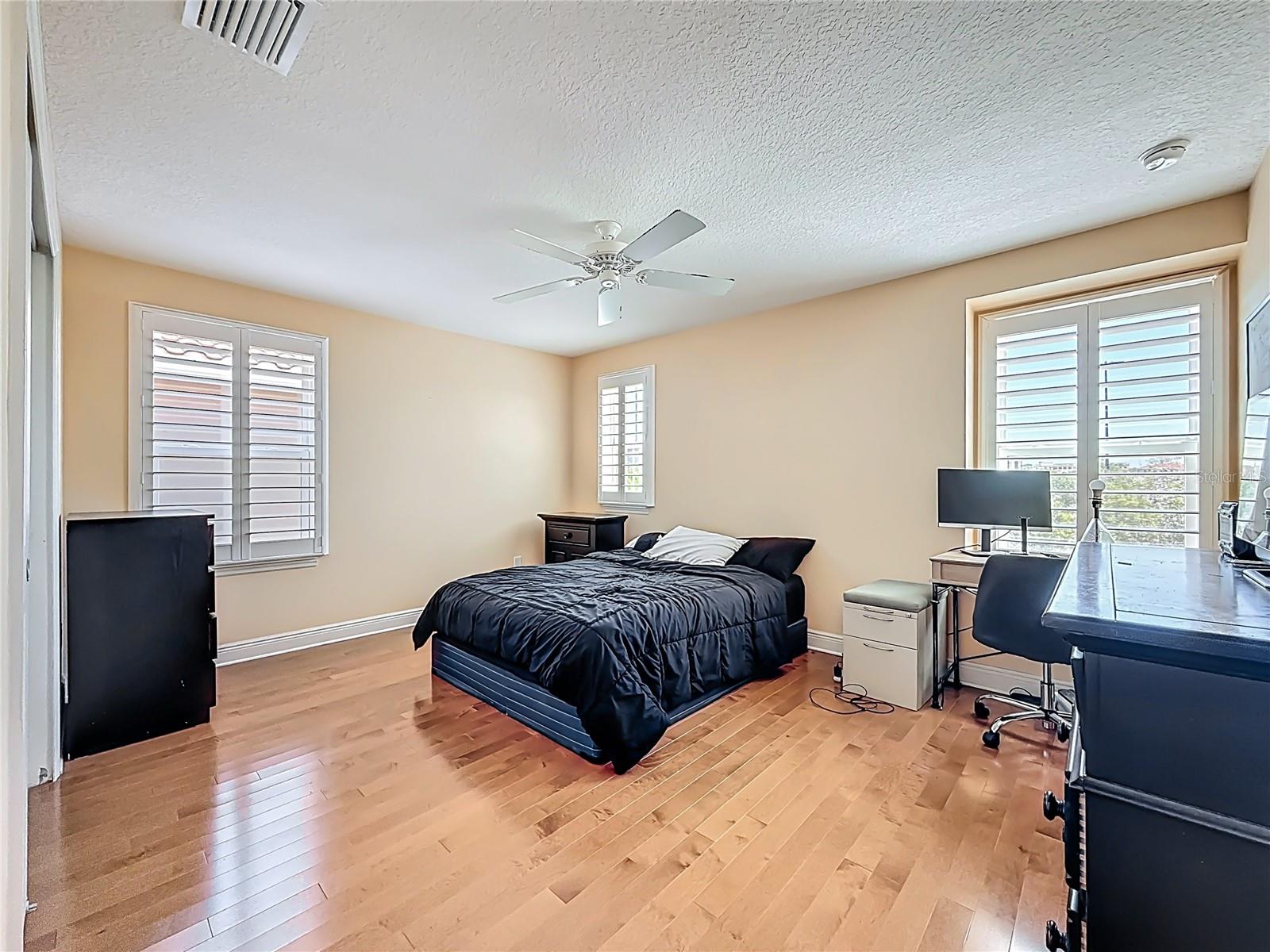 COVE AT BAY PINES - Residential