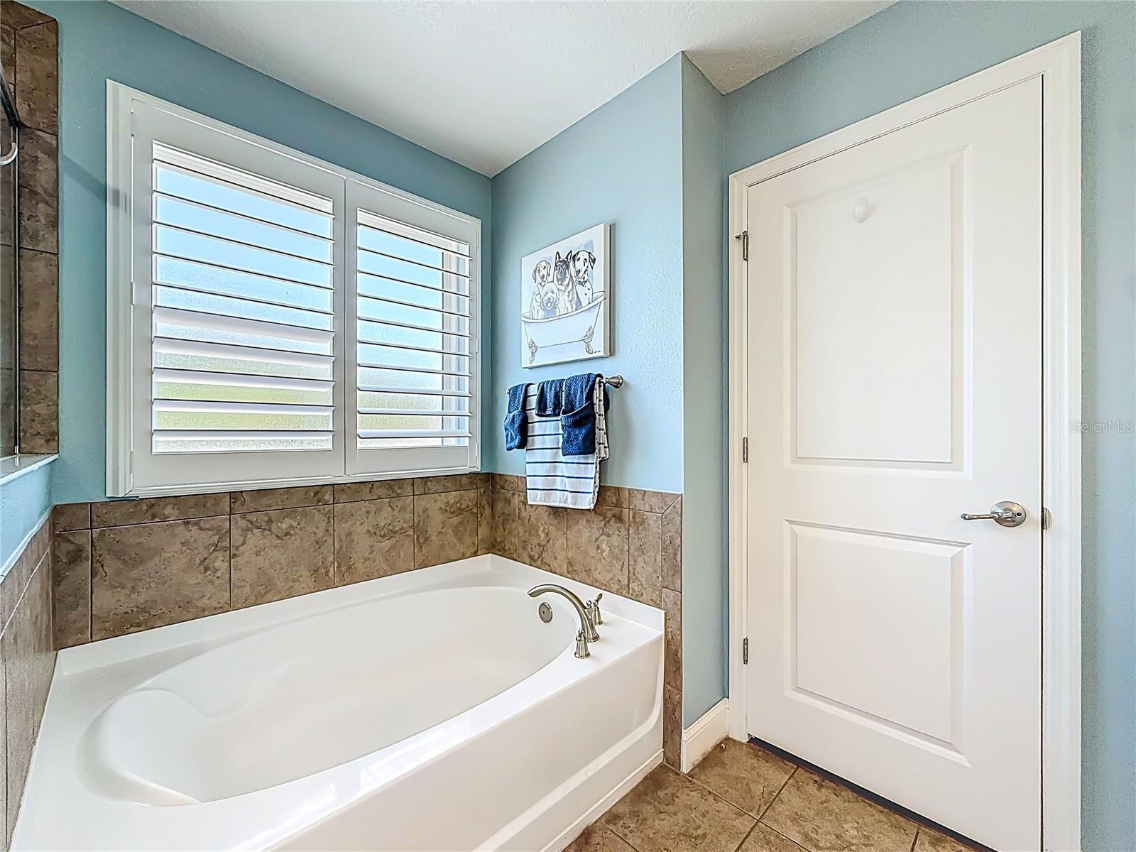 COVE AT BAY PINES - Residential