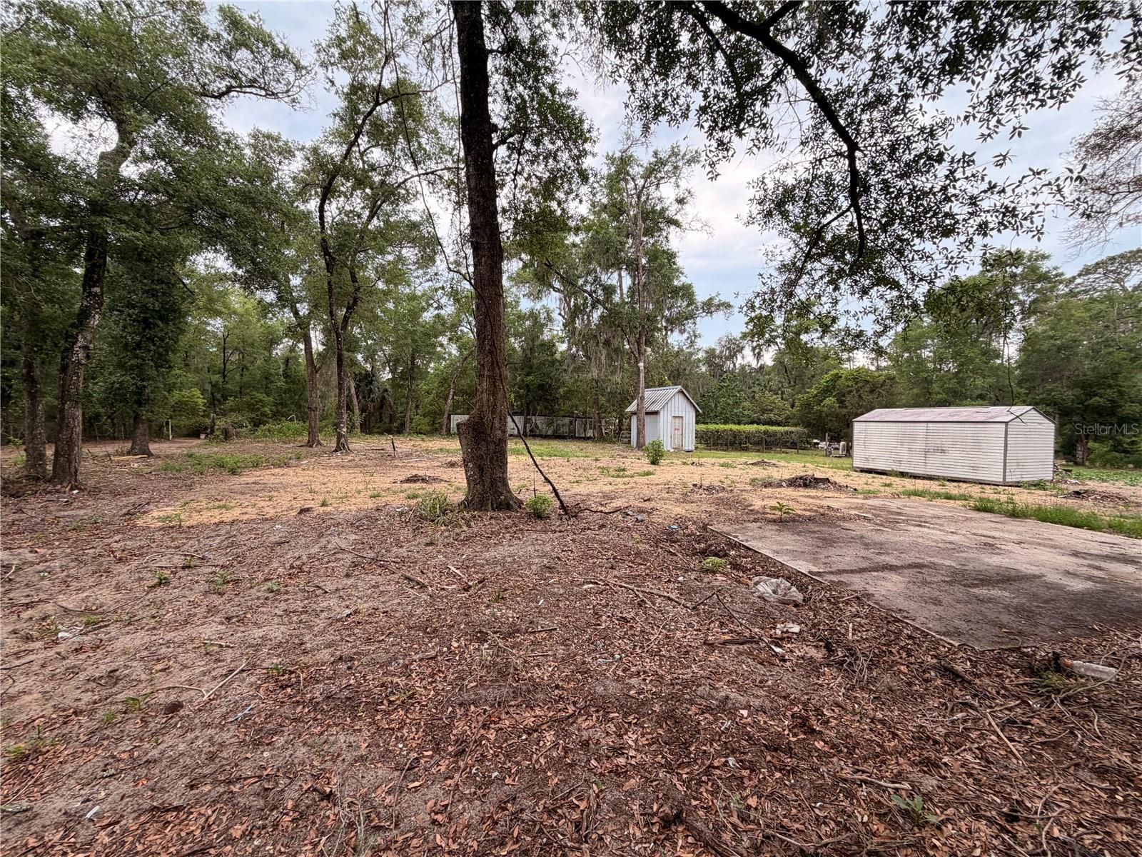 FOREST LANDS #C-2197 - Land