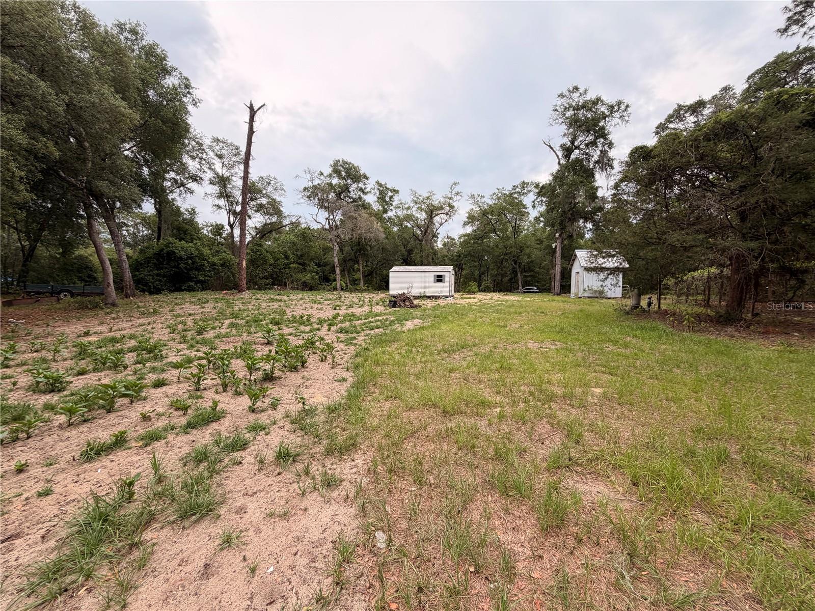 FOREST LANDS #C-2197 - Land