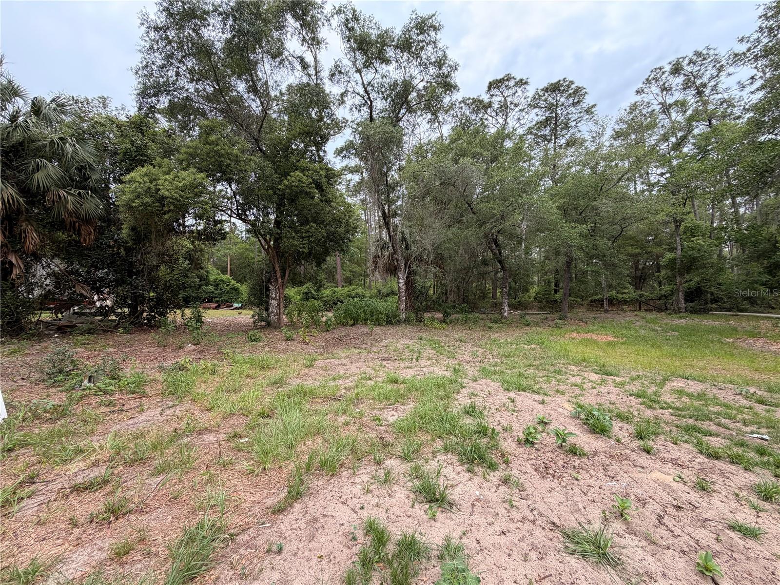 FOREST LANDS #C-2197 - Land