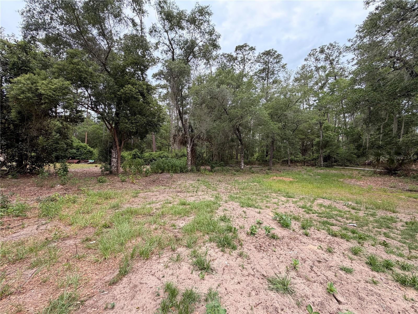 FOREST LANDS #C-2197 - Land