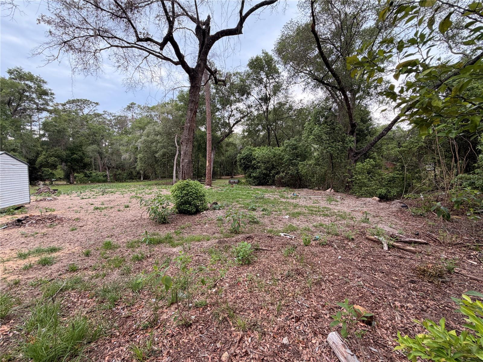 FOREST LANDS #C-2197 - Land