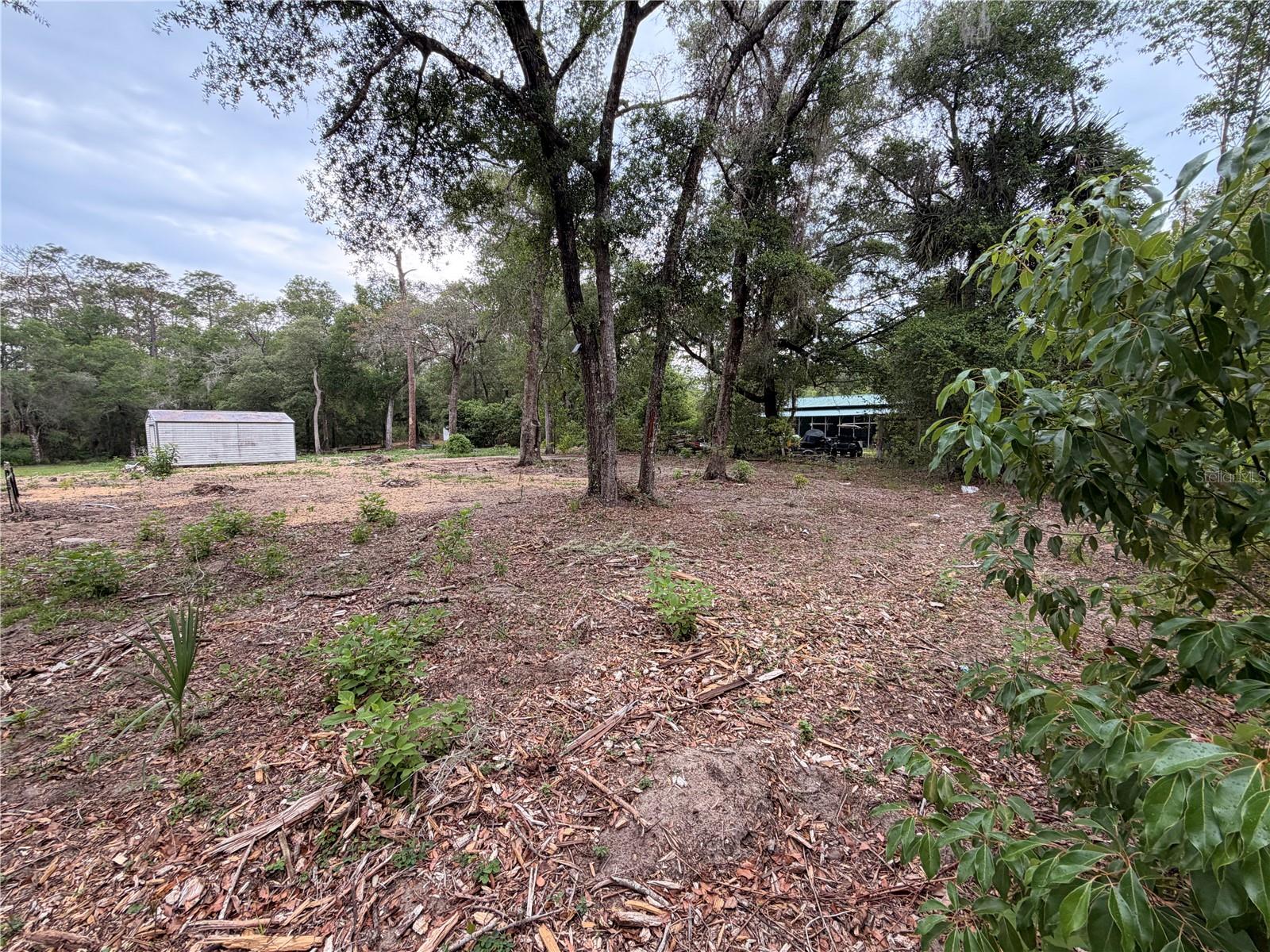 FOREST LANDS #C-2197 - Land