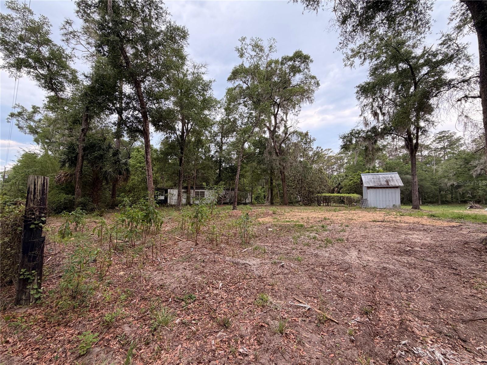 FOREST LANDS #C-2197 - Land