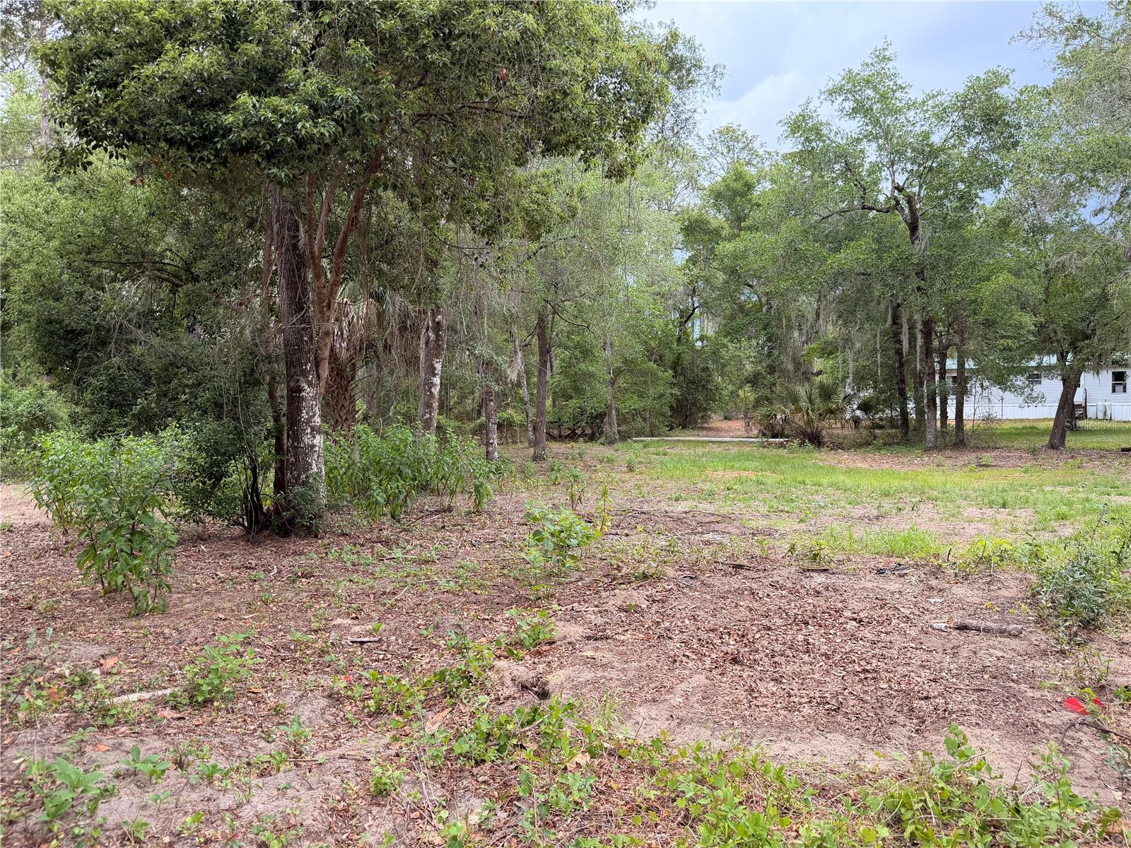 FOREST LANDS #C-2197 - Land