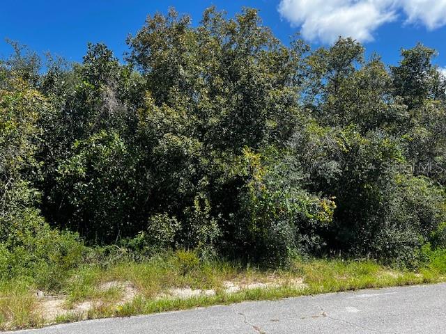 POINCIANA NBRHD 02 WEST VILLAGE 07 - Land