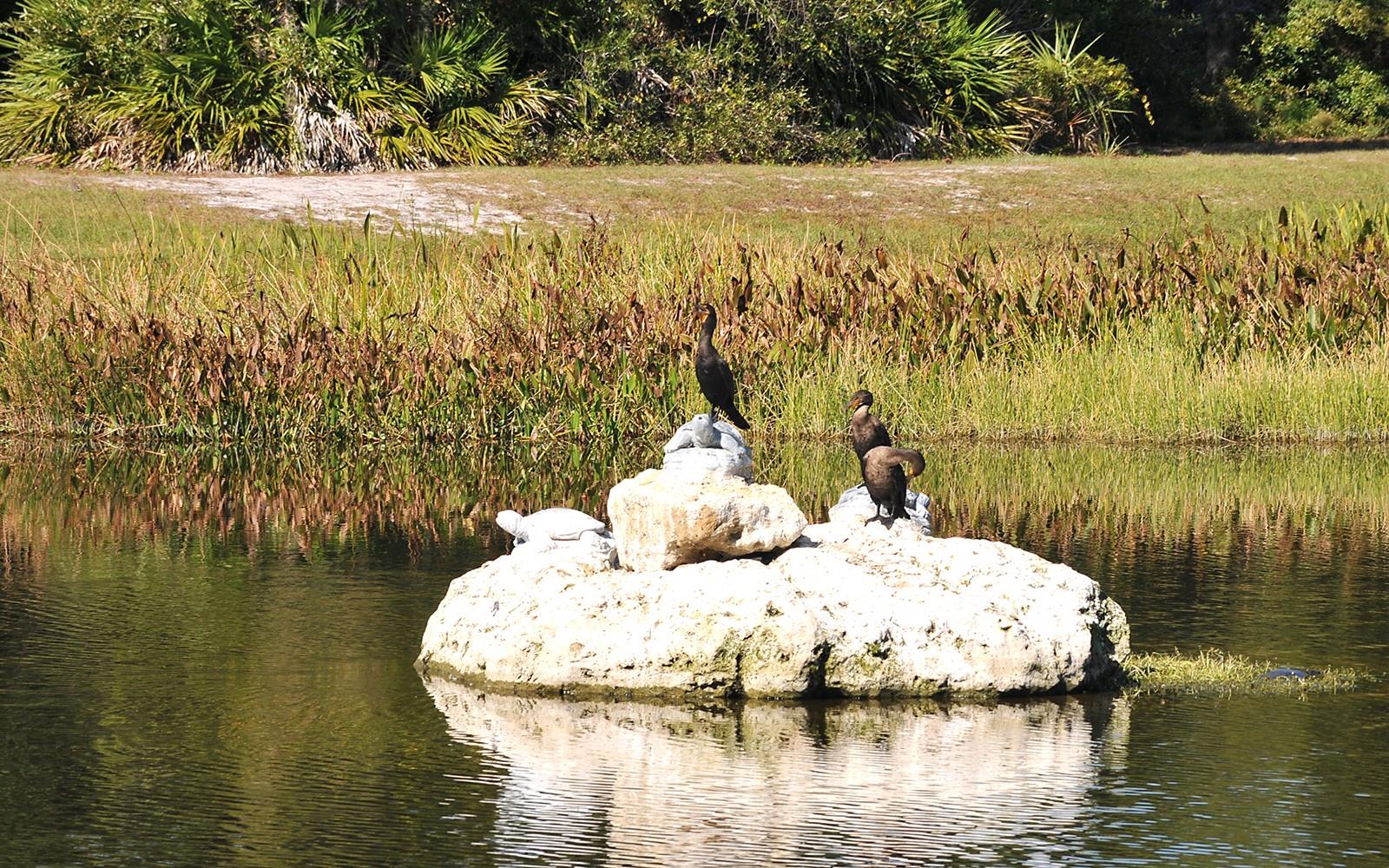 TURTLE ROCK PARCELS I & J - Residential