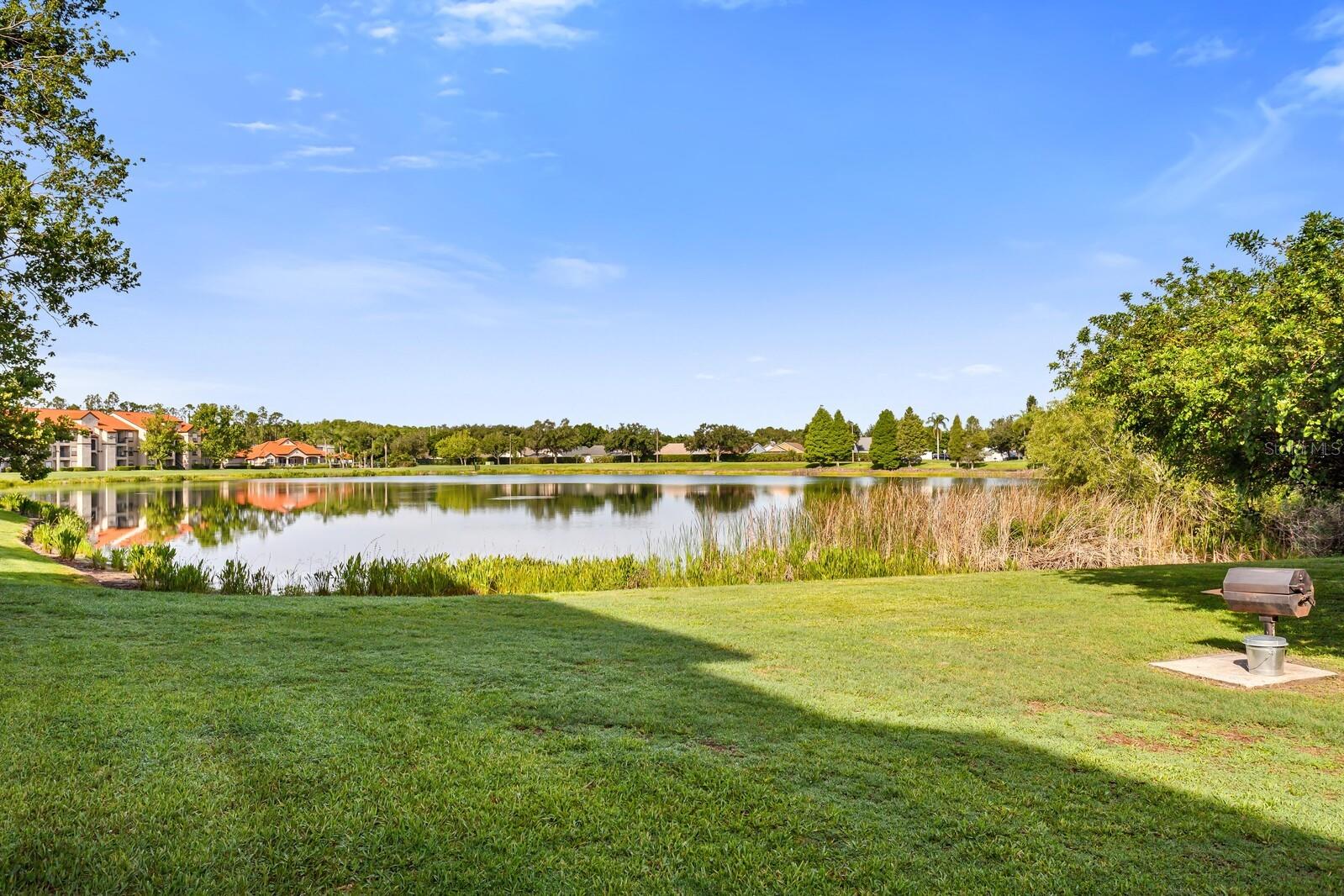 LAKEVIEW AT CALUSA TRACE - Residential