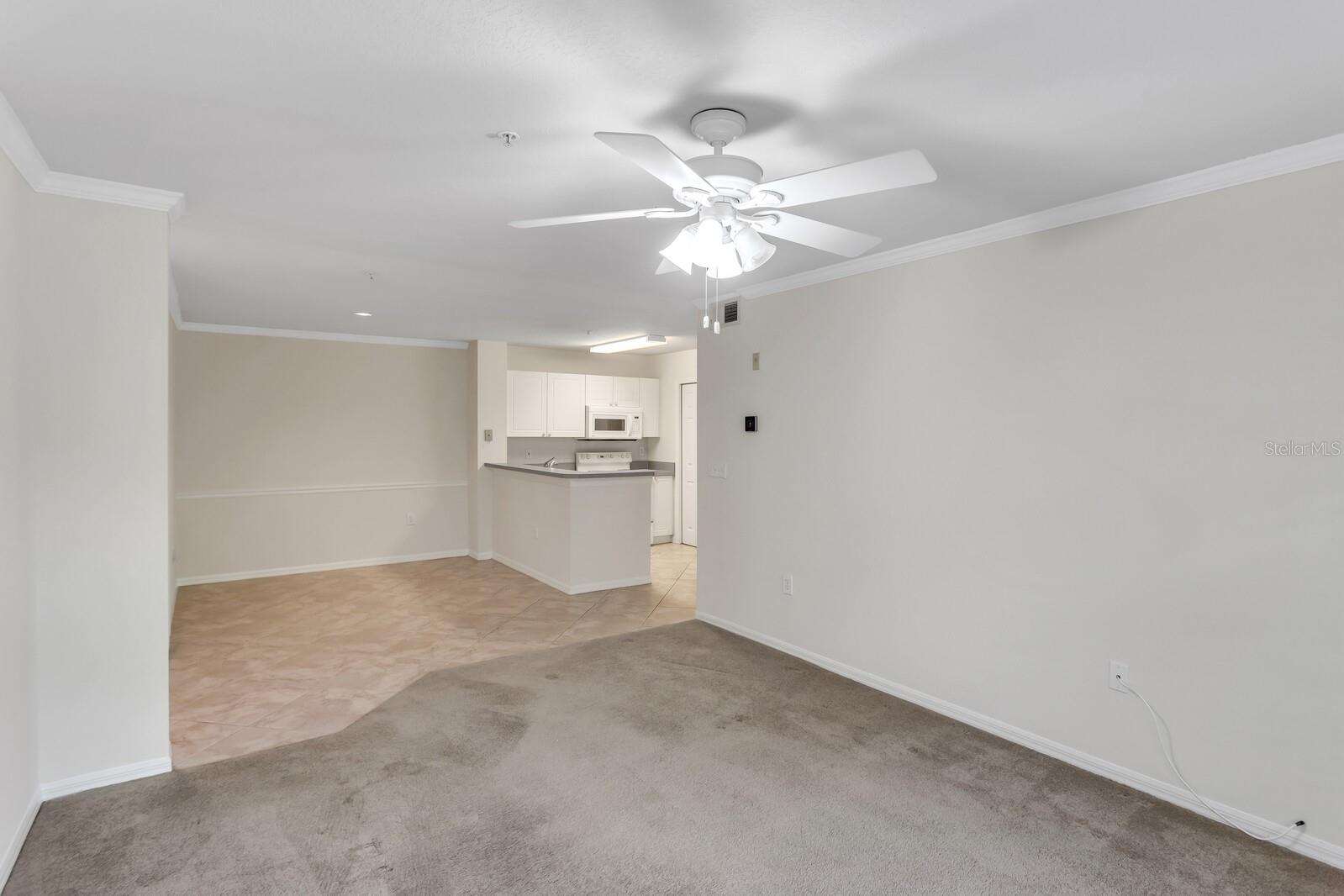 LAKEVIEW AT CALUSA TRACE - Residential