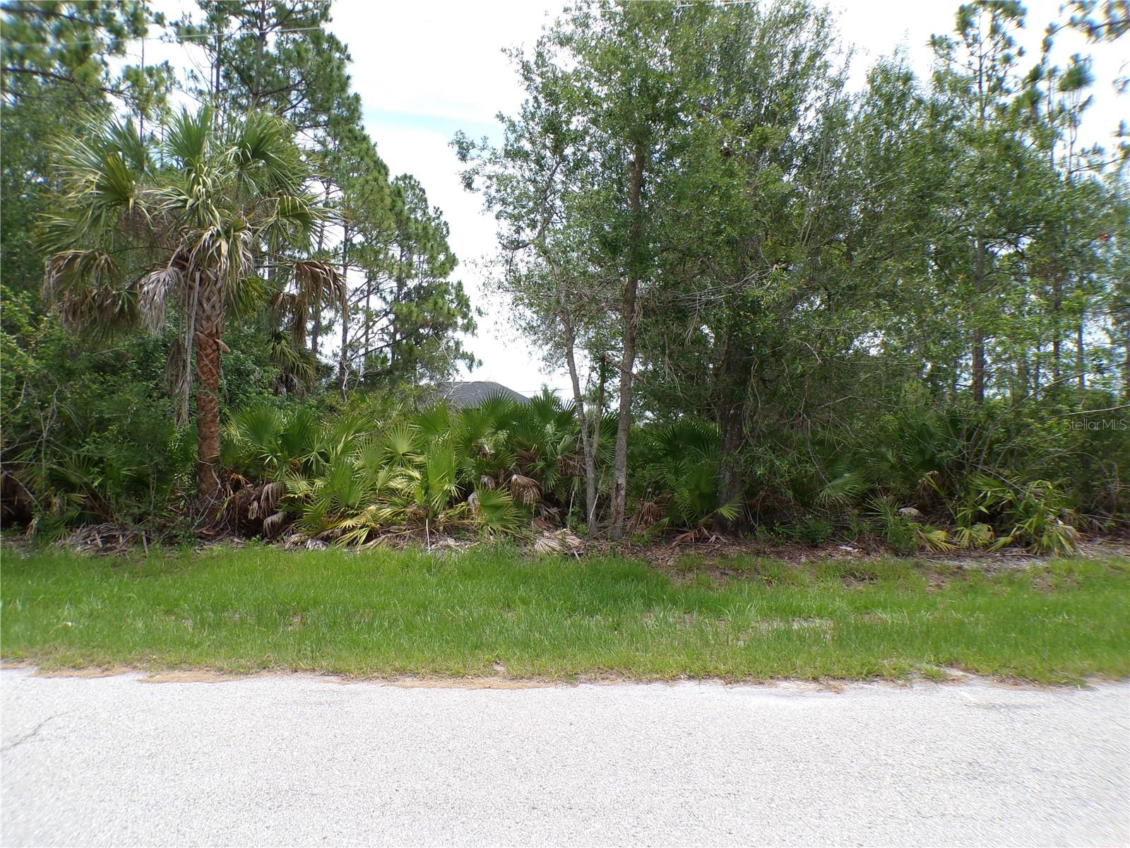 This lot is on a quiet street that would be a great place to build your dream home and retire or raise your family. Less than 3.5 miles to I75 makes this location an easy commute to almost anywhere, and only 24 miles to Chadwick park at Englewood Beach with amazing sunsets, 6 miles to Port Charlotte Town Center and only 4 miles Punta Gorda Historic district and waterfront park with lots of shopping and dining options. Tampa Bay Rays spring training and the fairgrounds are just minutes away, also multiple golf courses and some of the best boating and fishing in all of Florida. Red Soxs, Orioles, Twins and Braves spring training all within an hour’s drive. Buyer and buyers rep responsible for determining environment conditions and endangered species restrictions. This lot is priced to sell so please call for availability! This lot is at a great price point for the investor call today.