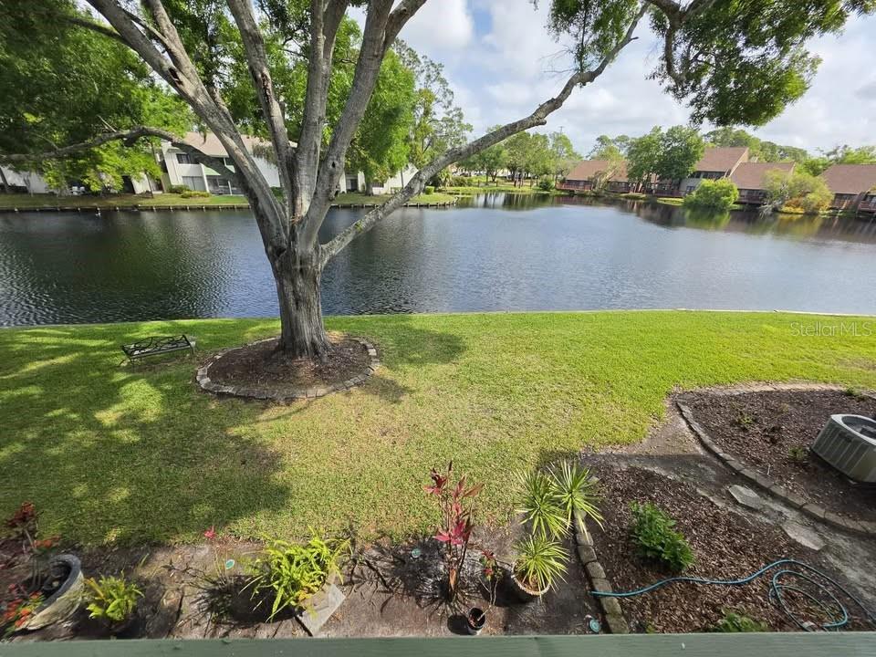 CARROLLWOOD VILLAGE PINE LAKE GARDEN VIL - Residential Lease