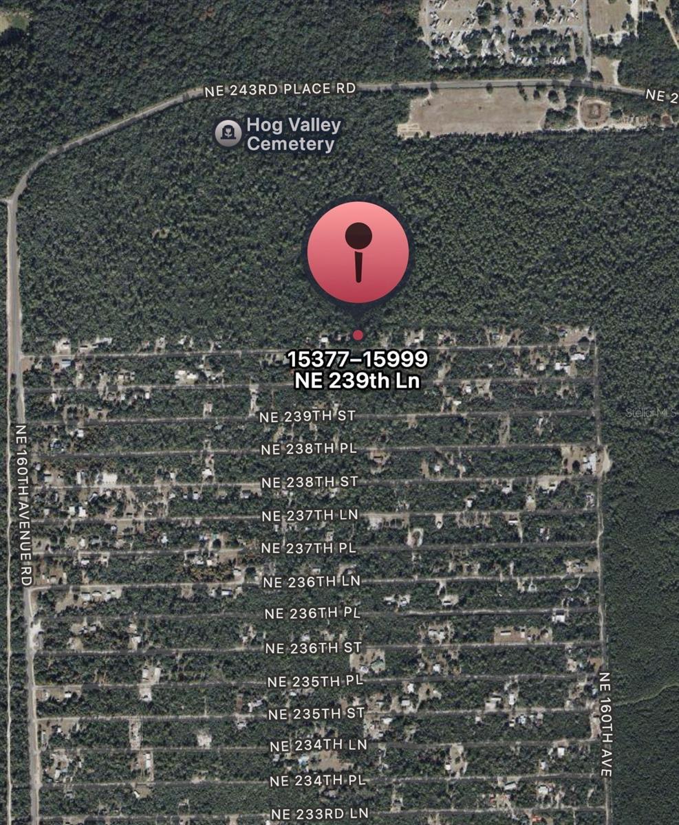 OCALA NATIONAL FOREST CAMPSITES - Land