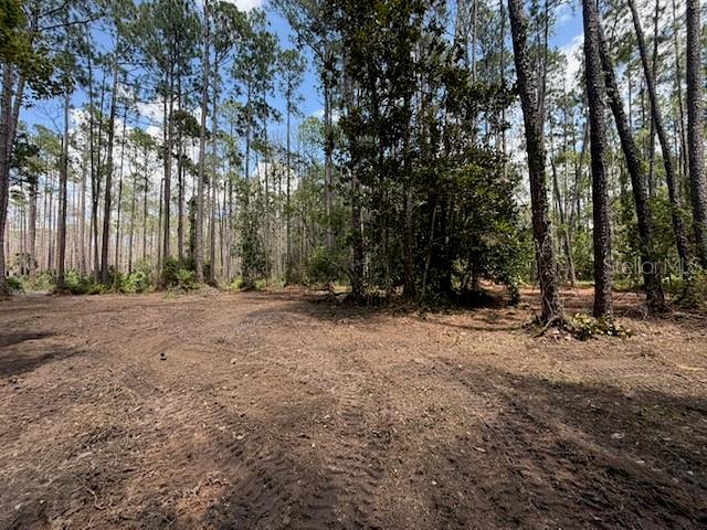 DAYTONA PARK ESTATES REP SEC G - Land