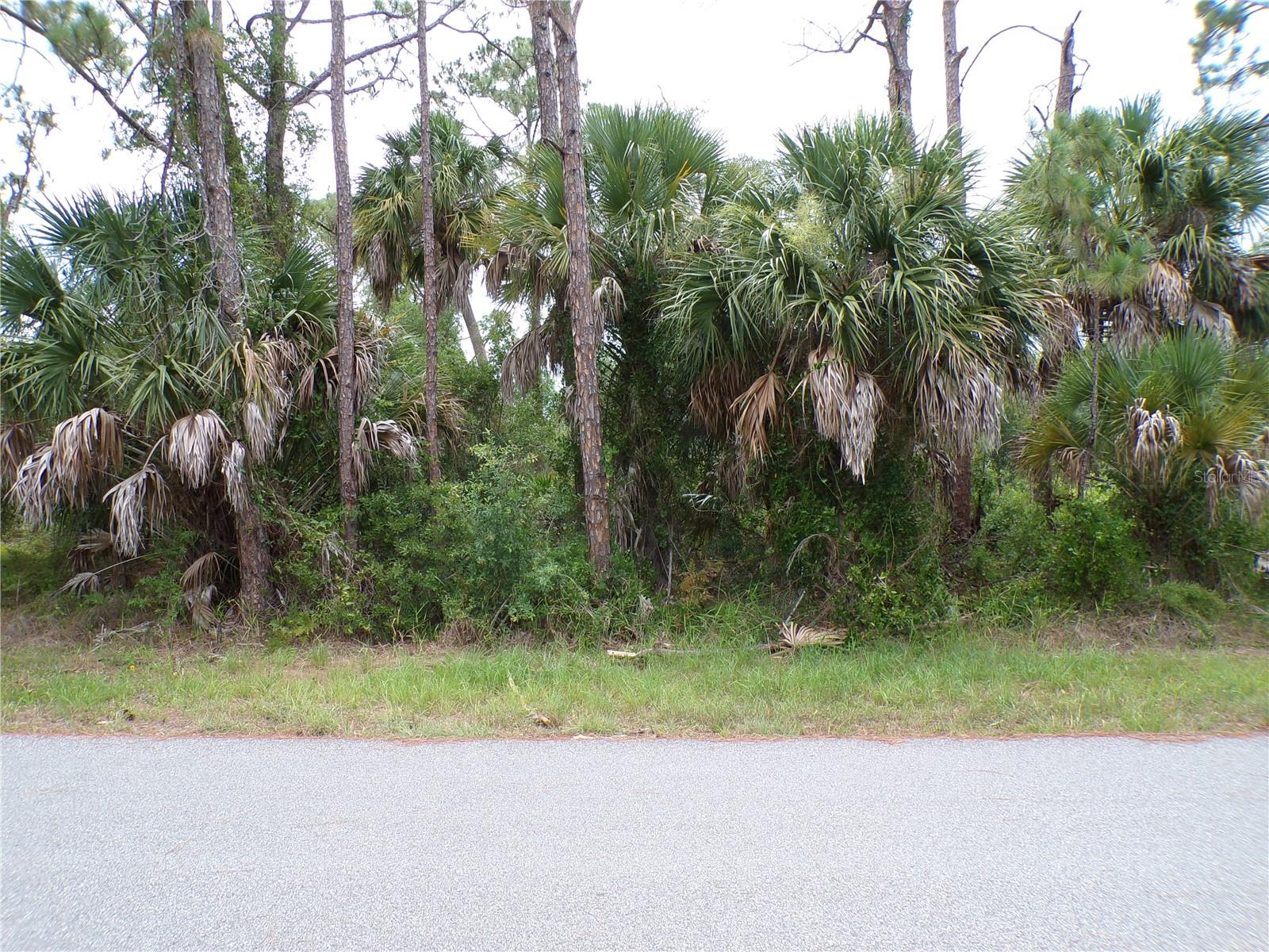 This lot is in the highly desired Flood Zone X, this means no flood insurance will be required. the adjoining lot is also availible in a separate listing, this means you could have nearly 1/2 acre if you were to buy both. These lots are on a quiet street, that would be a great place to build your dream home and retire or raise your family. Less than 2 miles to I75 makes this location an easy commute to almost anywhere, and only 22 miles to Venice Pier and Beach with amazing sunsets, 6 miles to Cocoplum Village Shops with lots of shopping and dining options. Atlanta Braves spring training and the fairgrounds are just minutes away, also multiple golf courses and some of the best boating and fishing in all of Florida. Red Soxs, Orioles, Twins and Rays spring training all within an hour’s drive. Buyer and buyers’ reps are responsible for determining environmental conditions and endangered species restrictions. This lot is priced to sell so please call for availability! This lot is at a great price point for the investor call today.