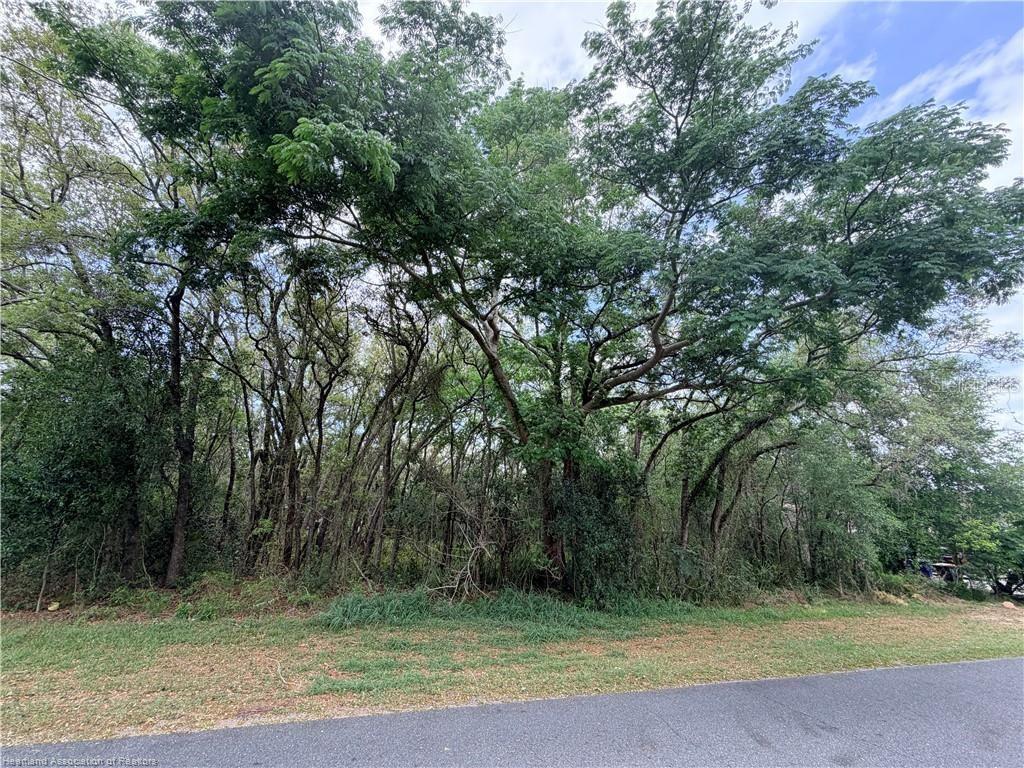 Land opportunity in the desirable Avon Park Lakes community! These two adjacent vacant lots (0.18 acres each) are being sold together, offering a combined footprint ideal for your next home build or investment. Total of 0.36 acres across two adjacent 0.18-acre parcels. Situated on a paved road with electric nearby, this property provides both convenience and future potential. Whether you're looking to build now or hold for later, this double-lot package gives you flexibility and added space in a growing area.

Includes two parcels sold together:
Parcel 1: C-01-33-28-010-0000-3956
Parcel 2: C-01-33-28-010-0000-3954

Don’t miss your chance to secure land in this sought-after location!