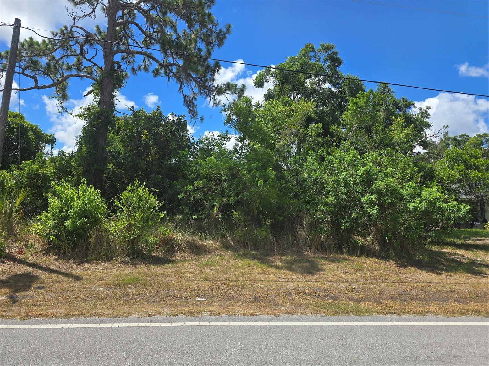 Build your Florida dream home on this vacant residential lot located on paved Lacey Drive in the growing Moon Lake Estates community. Positioned directly across the street from Moon Lake and neighboring waterfront properties with private docks, this homesite offers the opportunity to enjoy lake-area living without the waterfront price tag.  The lot is currently wooded, providing a natural setting and a blank canvas for your future home. Electric service is readily available with a power pole located at the property line, making future utility connection more convenient. Moon Lake Estates continues to attract homeowners and investors seeking affordable land, natural surroundings, and easy access to nearby shopping, dining, parks, and major roadways. Whether you're looking to build now or hold for the future, this property offers excellent potential in an area experiencing ongoing growth and development. Drive by today and envision the possibilities!