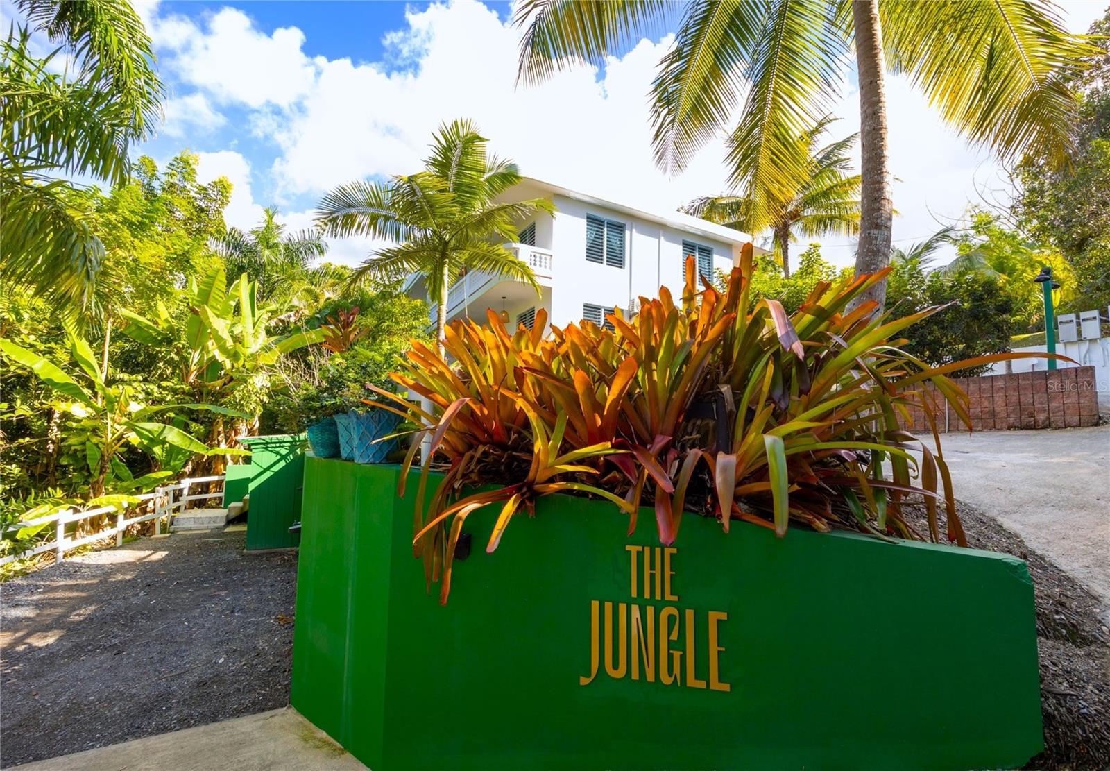 RICOTHE JUNGLE | RINCÓN, PUERTO RICO
Located in Rincón, PR — a world-famous surf destination known for its laid-back beach culture, year-round tourism, and some of the Caribbean's most celebrated waves — The Jungle is a fully operational boutique guesthouse in the highly desirable Barrio Puntas neighborhood, just a 3-minute walk from Sandy Beach.
Situated on a 1,295 SM lot, the property comprises 9 keys across 5 guest accommodations: four 2BD/1BA units and one studio apartment. Surrounded by lush tropical gardens, the property features a 15' x 30' pool, shaded lounge areas, a gazebo with a large dining table, and multiple outdoor gathering spaces.
Purpose-built as a guesthouse, The Jungle reflects a distinct aesthetic: tropical modernism — a balance of nature, simplicity, and refined island comfort. Interiors feature terracotta-style floors, louvered windows, rattan, wicker, and wood accents, and soft neutral textiles. Each unit is uniquely decorated with hanging basket lights, woven mirrors, and curated details. Kitchens include granite countertops, SS appliances, and minimalist cabinetry. Bathrooms feature artistic tile accents and statement lighting. Expansive private balconies connect each unit to the surrounding tropical gardens.
Offered fully furnished and ready to operate. Eligible for Act 60 tourism tax incentives. An exceptional opportunity to acquire an established hospitality asset in one of Puerto Rico's most sought-after coastal destinations.