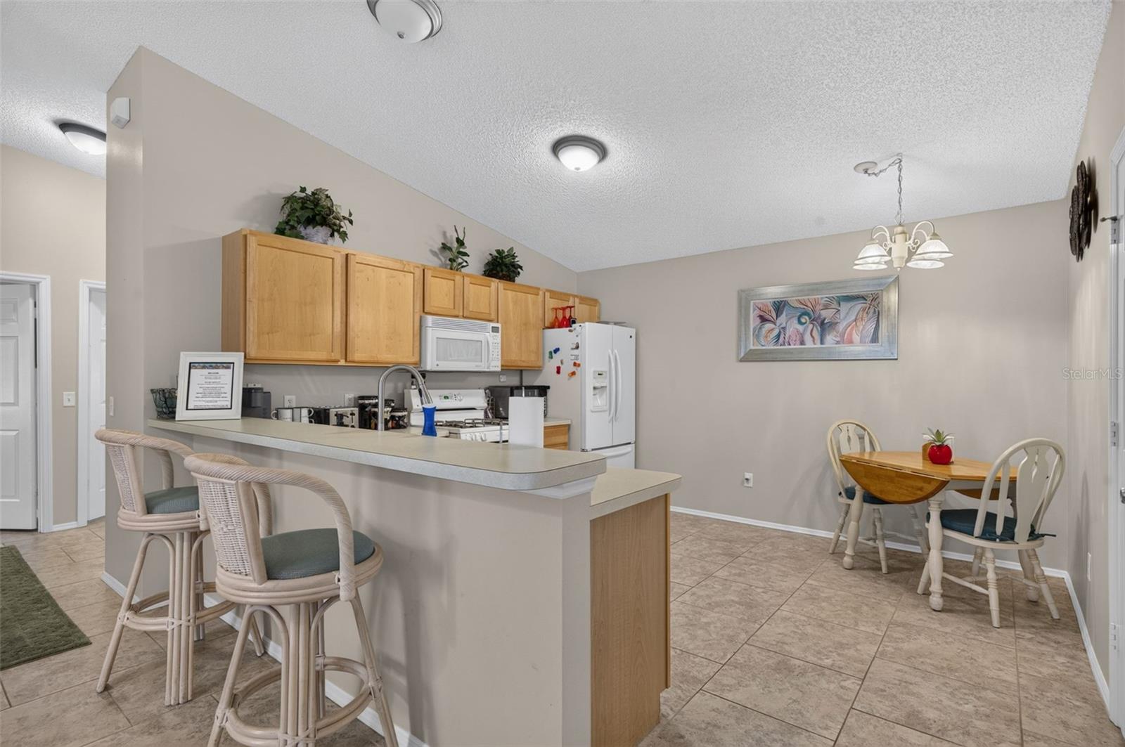 VILLAGES/MARION VLS/MERRY OAK - Residential