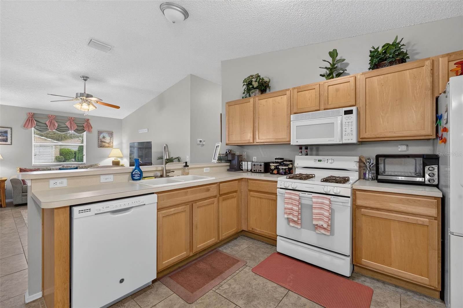 VILLAGES/MARION VLS/MERRY OAK - Residential