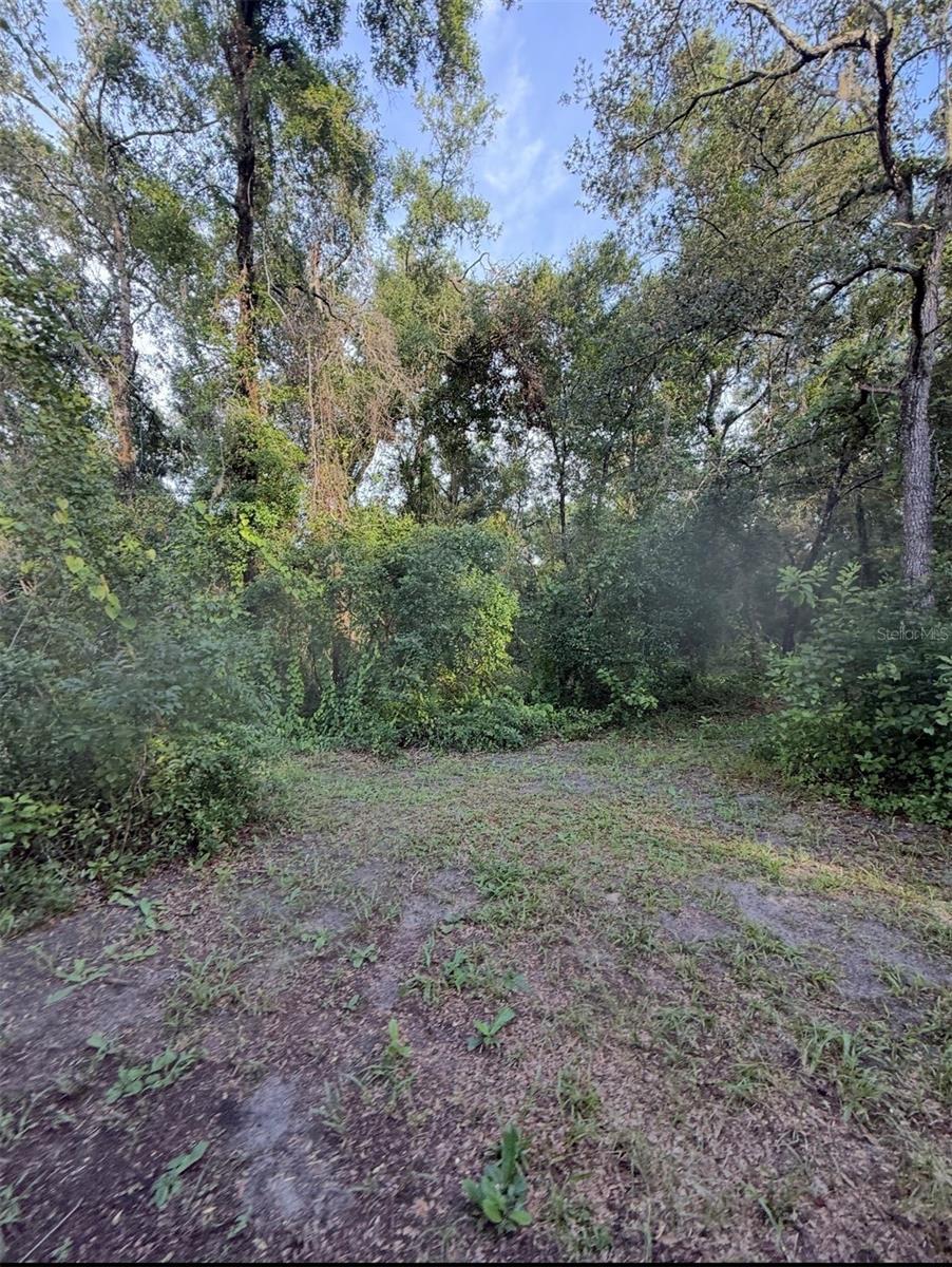 Beautiful vacant land.
Come build your dream home