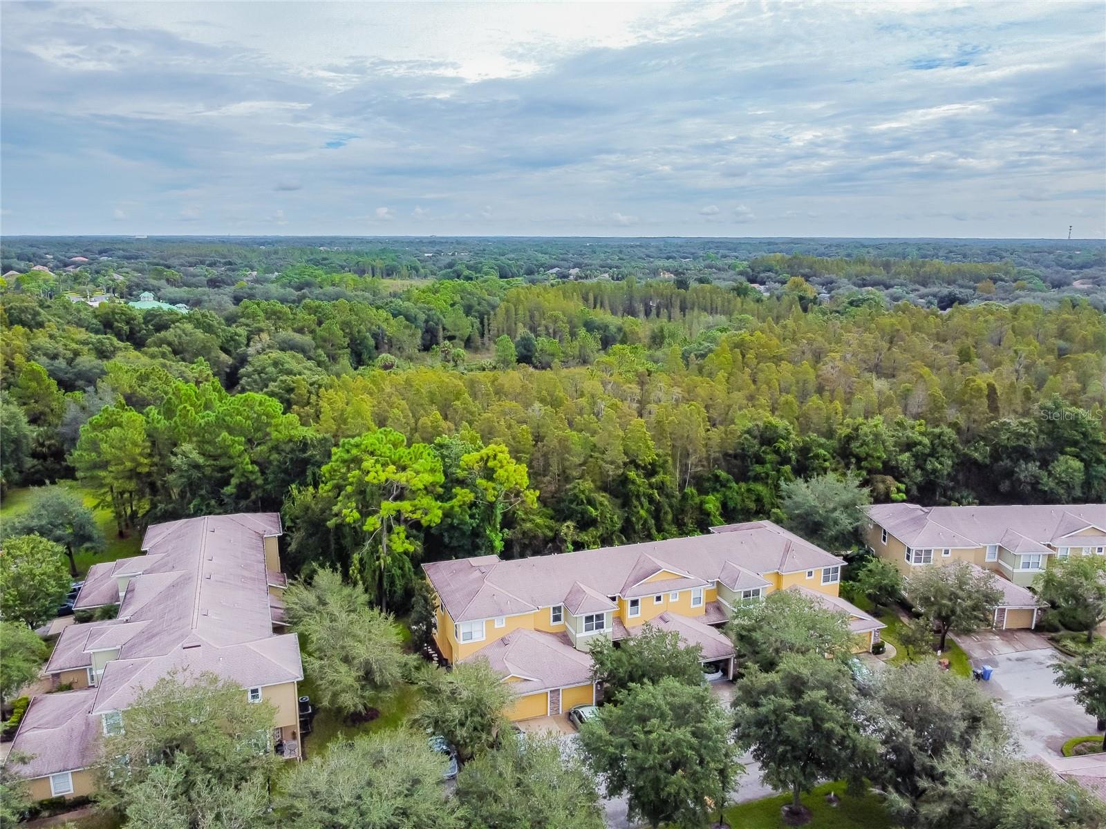 STONE RIDGE AT HIGHWOODS PRESE - Residential