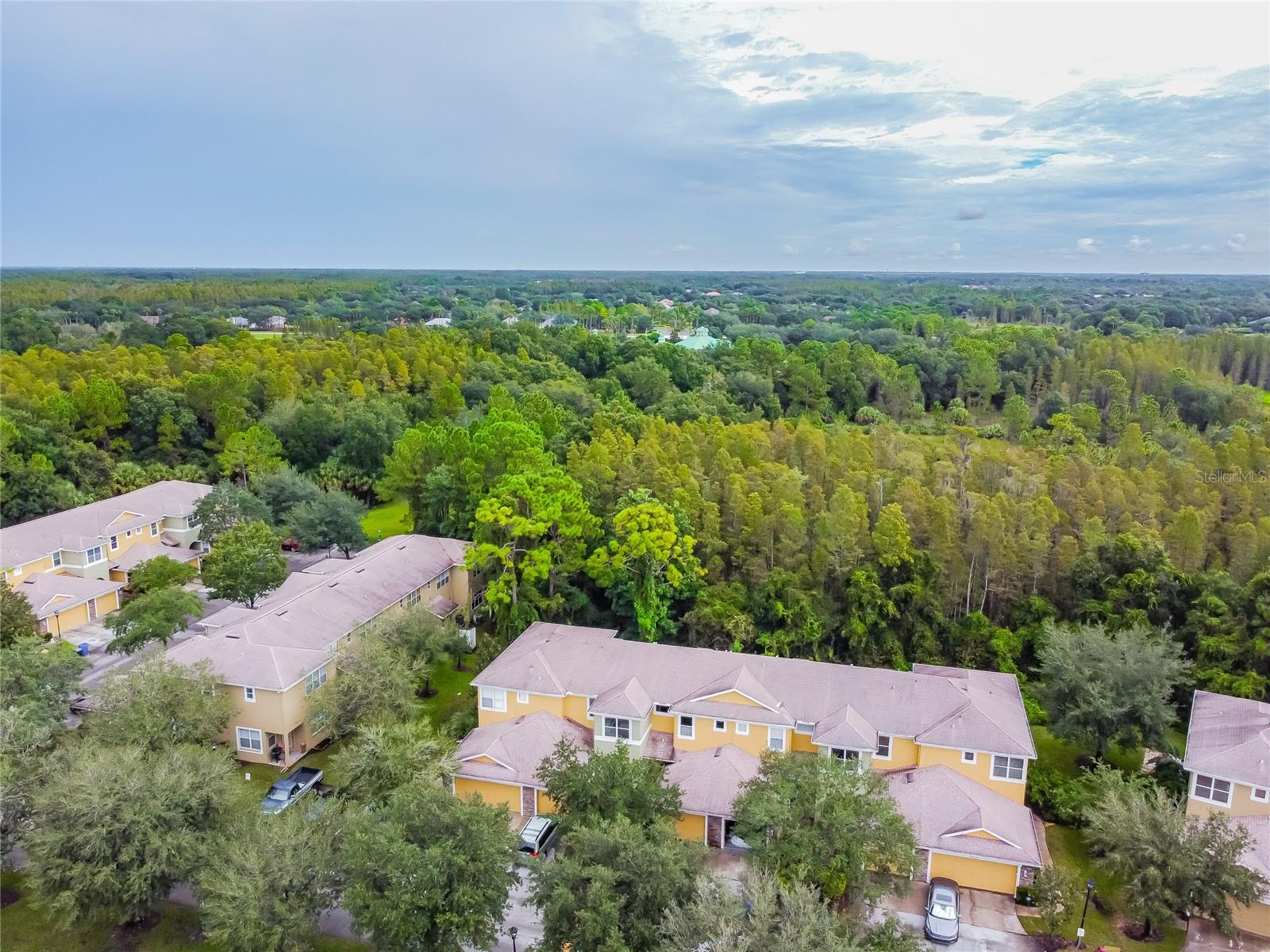 STONE RIDGE AT HIGHWOODS PRESE - Residential