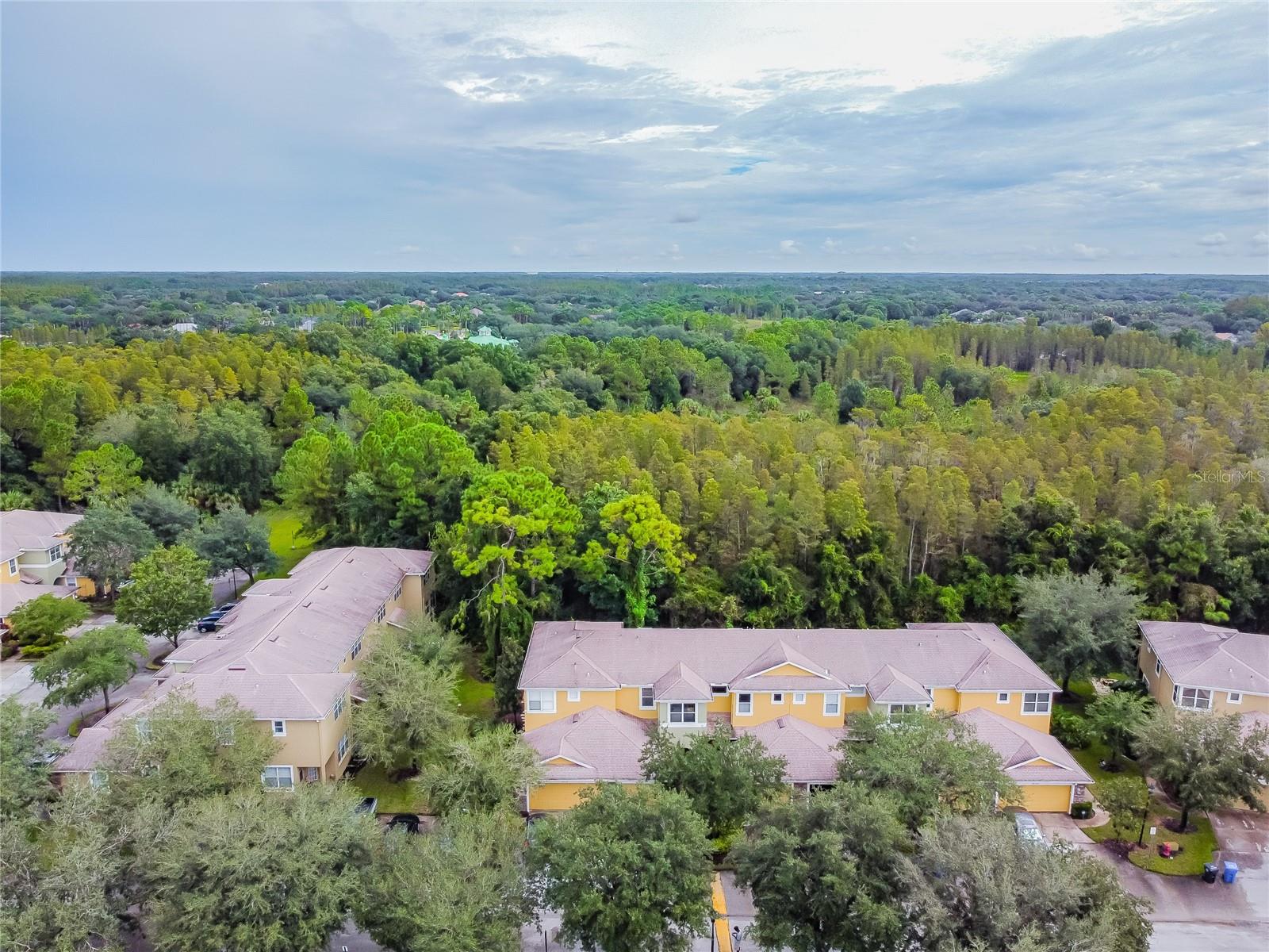 STONE RIDGE AT HIGHWOODS PRESE - Residential