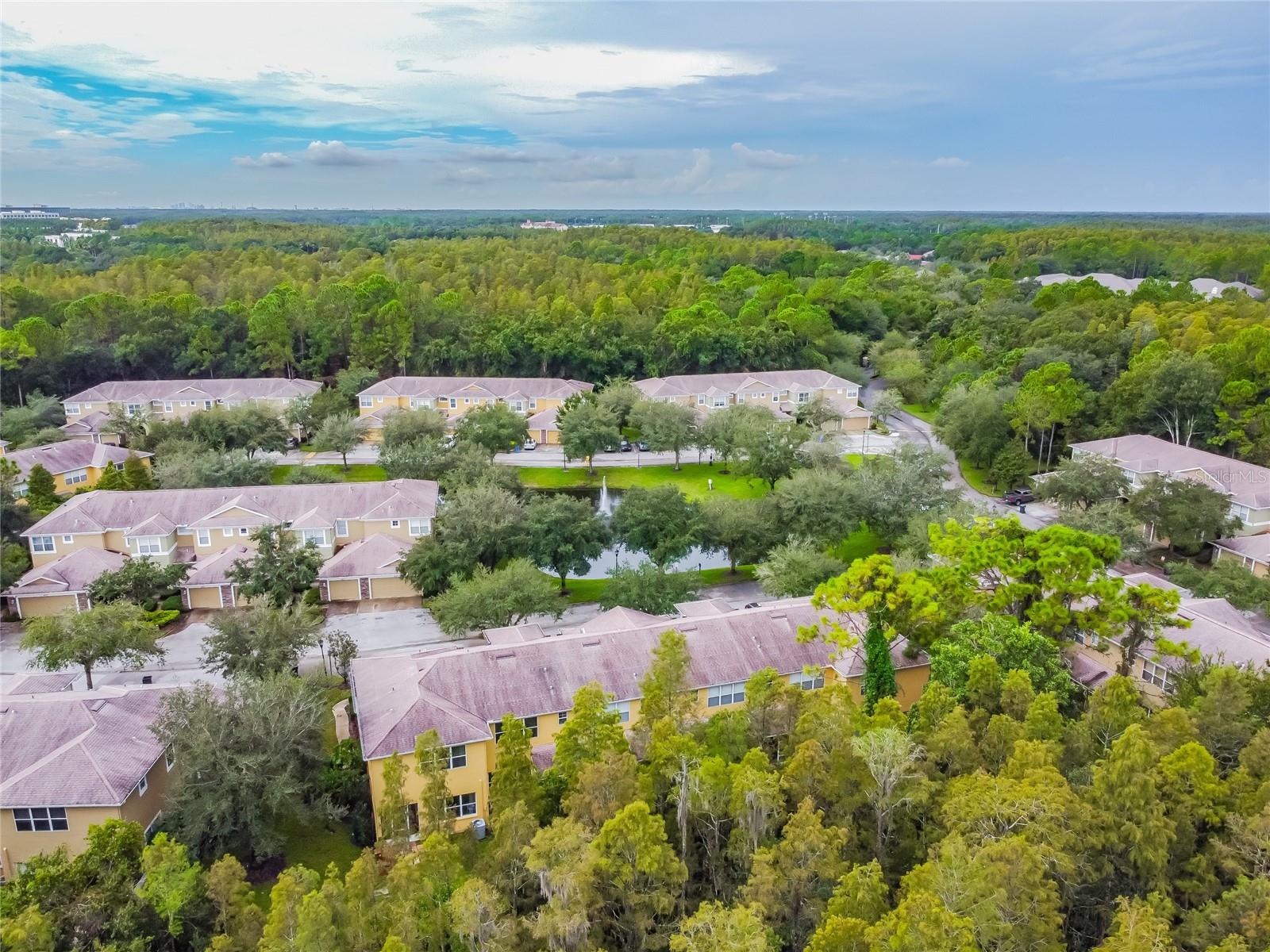 STONE RIDGE AT HIGHWOODS PRESE - Residential