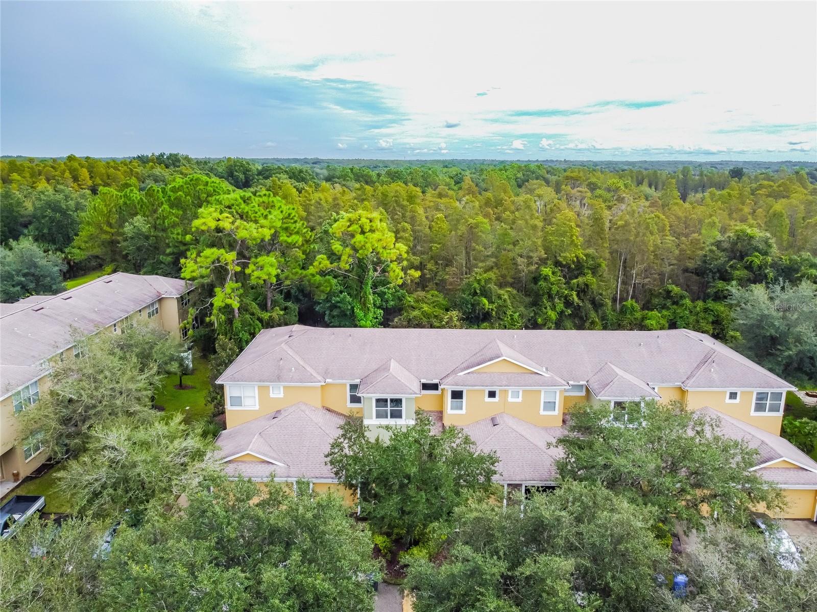 STONE RIDGE AT HIGHWOODS PRESE - Residential
